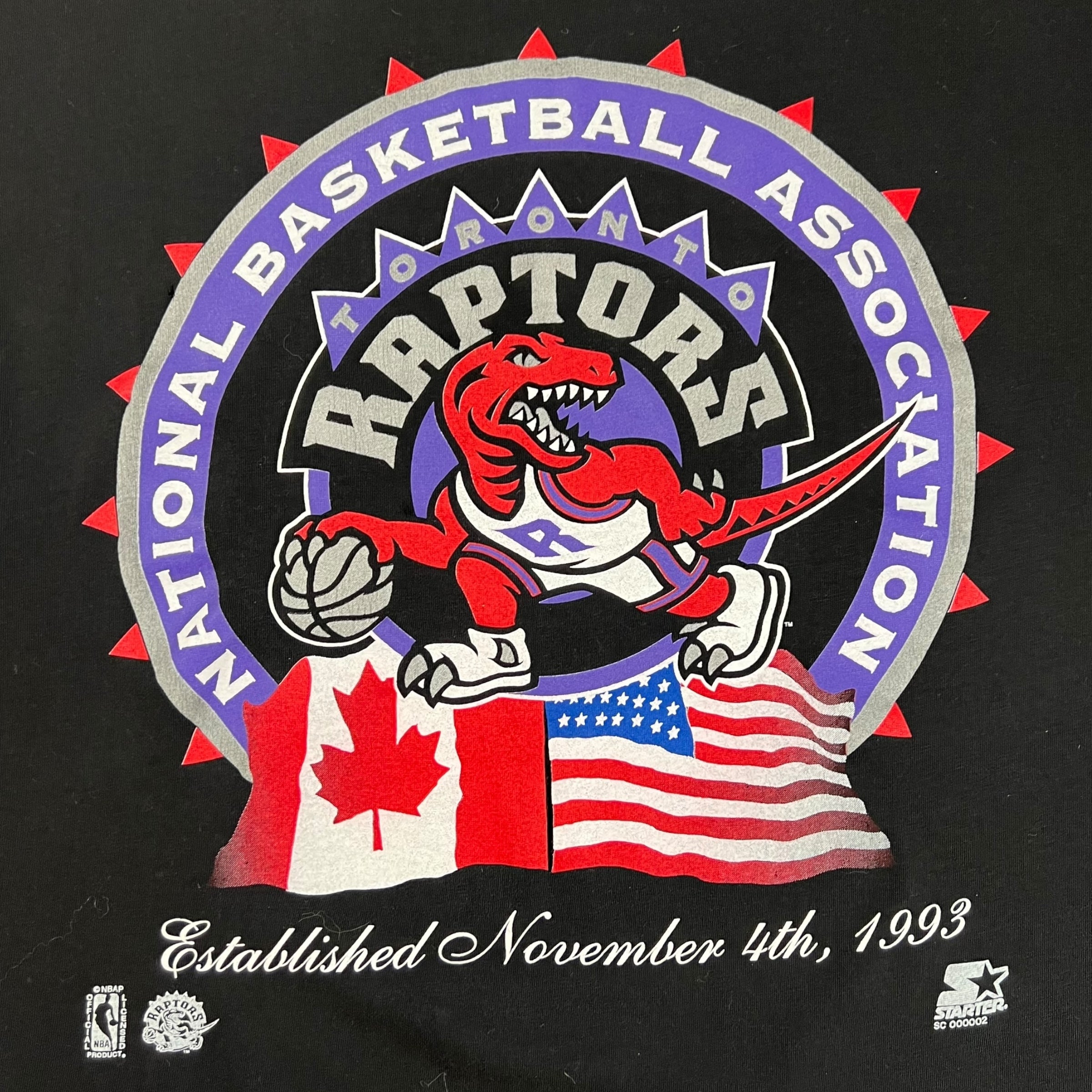 Vintage Starter Toronto Raptors Tee Black