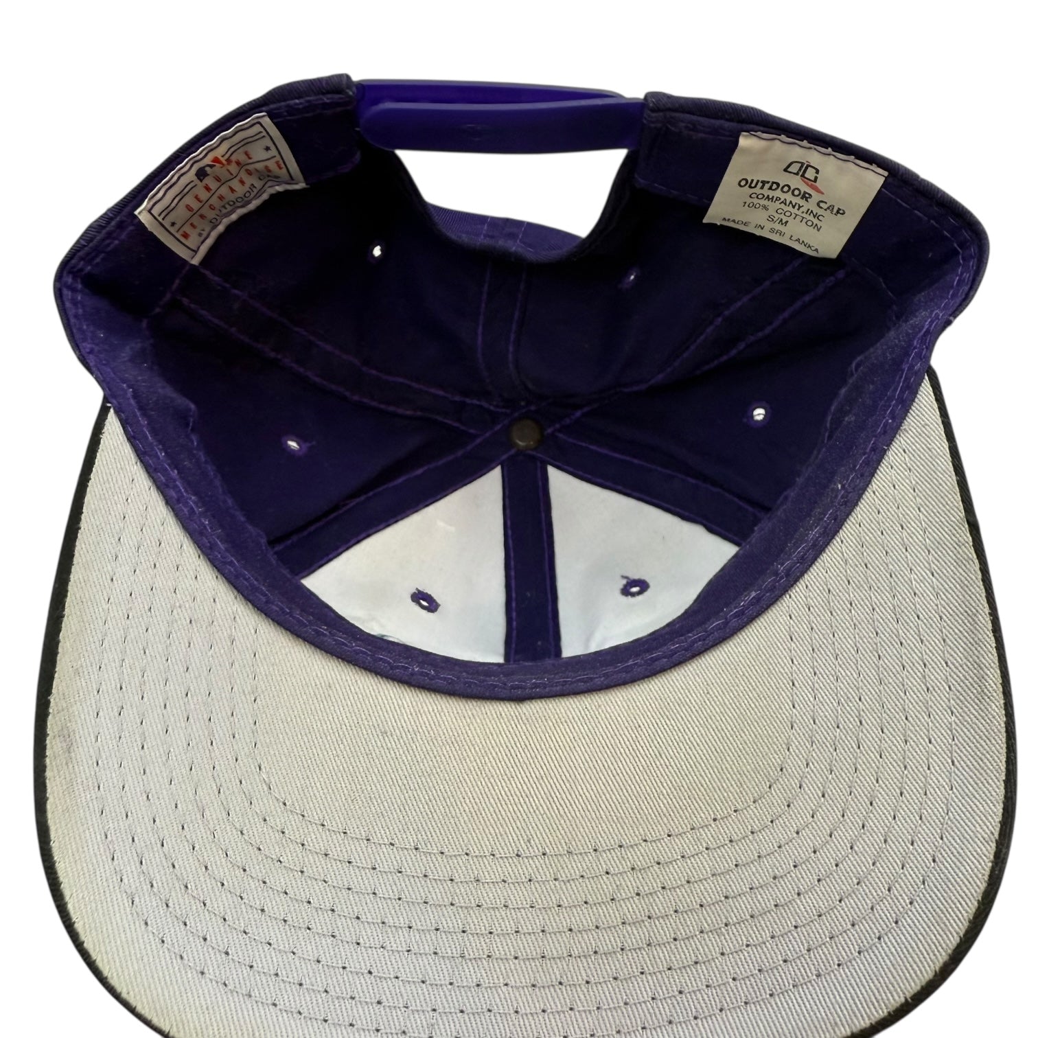 Vintage Tampa Bay Rays Hat Purple