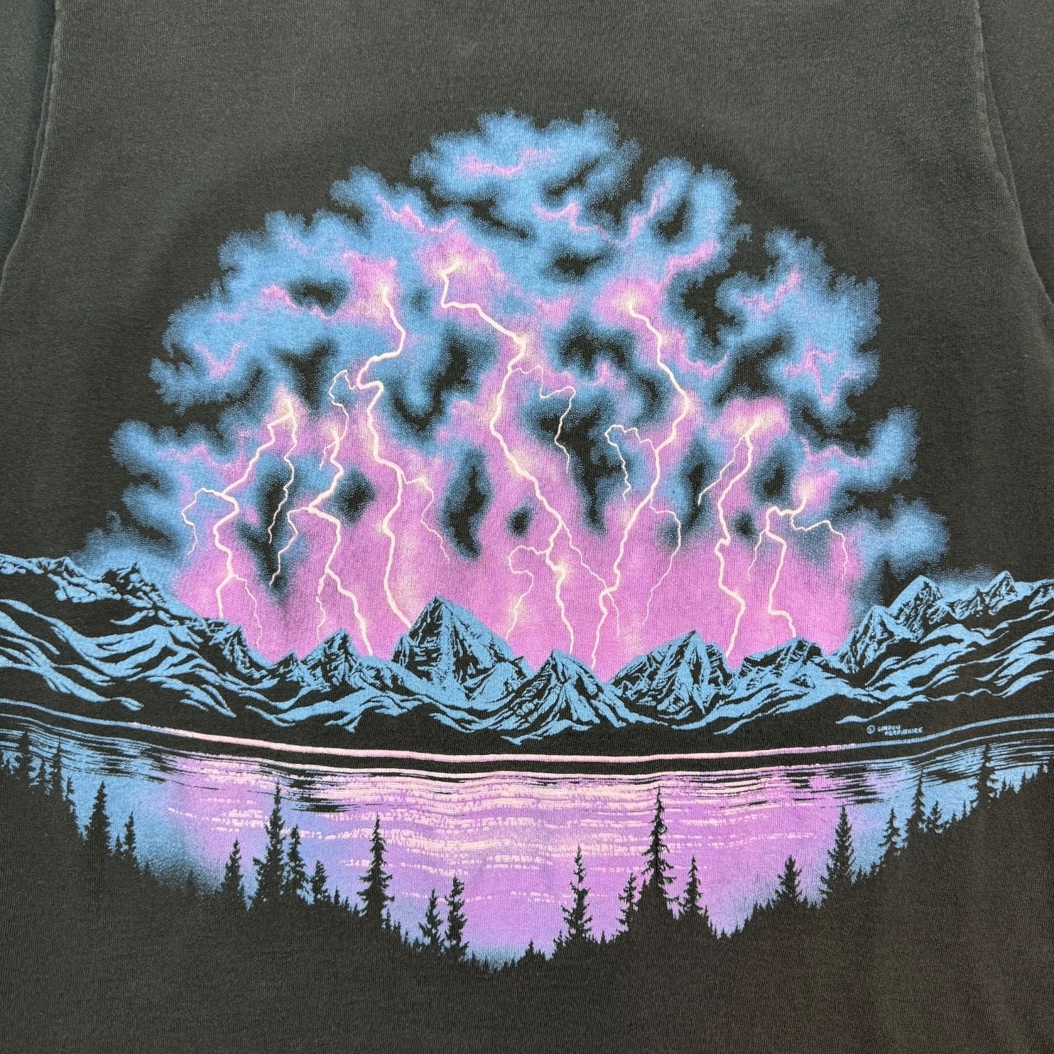 1980s Salmon Arm British Columbia Wolves Tee Black