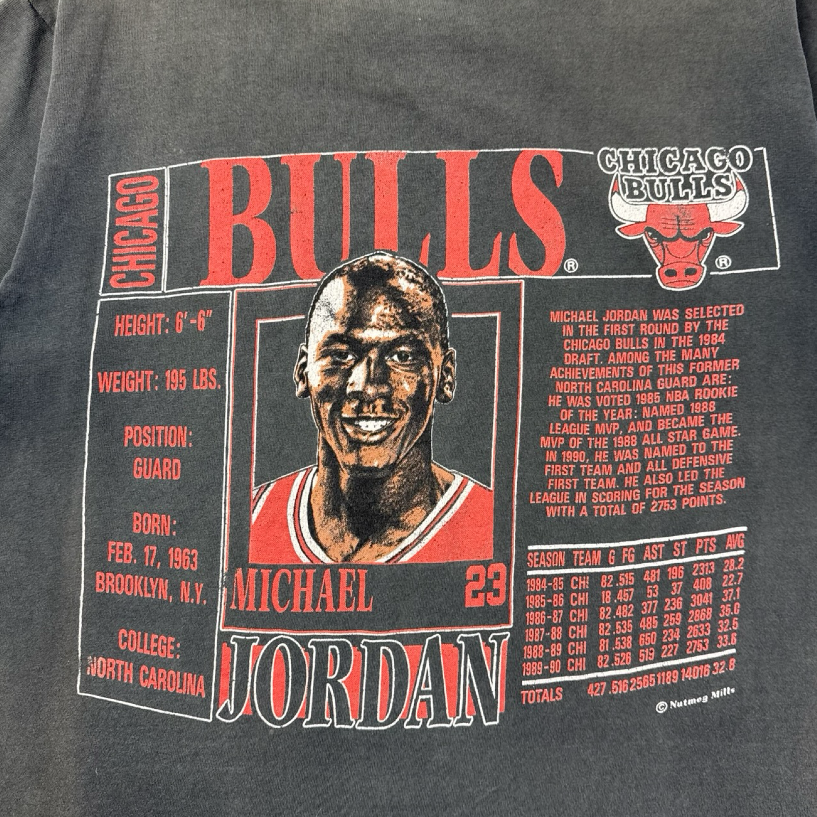 Vintage Chicago Bulls Michael Jordan Stats Nutmeg T-Shirt