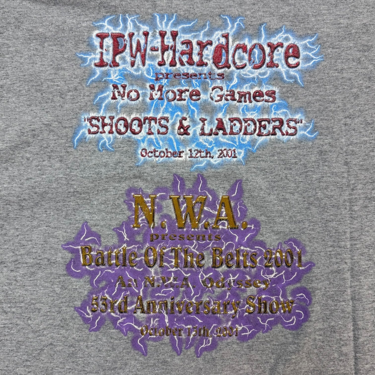 2001 Wrestlefest Tee Grey