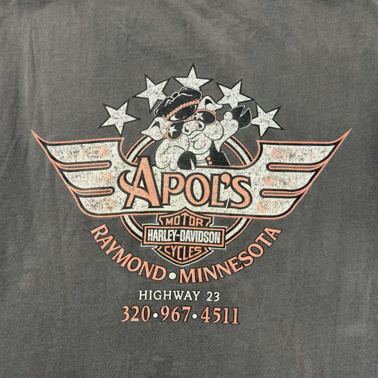 1995 Harley Davidson Biker Hog T-Shirt Faded Black