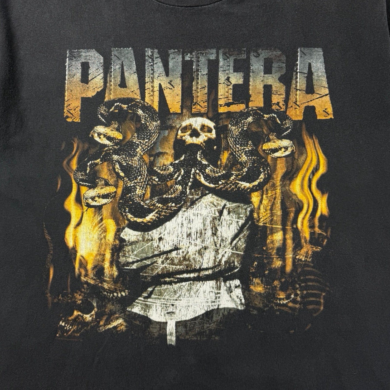 Vintage Pantera Rattlesnake & Skull T-Shirt Faded Black