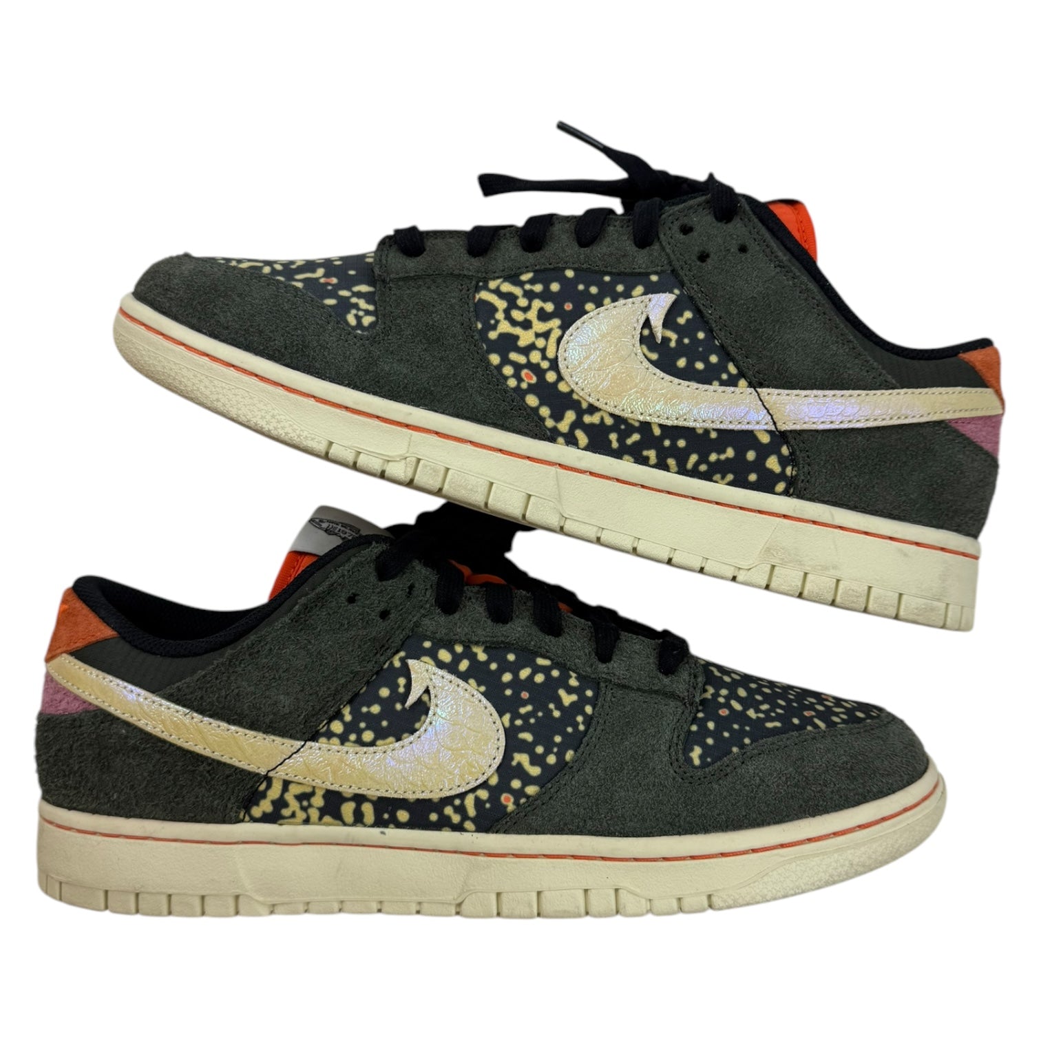 Nike Dunk Low SE Gone Fishing Rainbow Trout (Used)