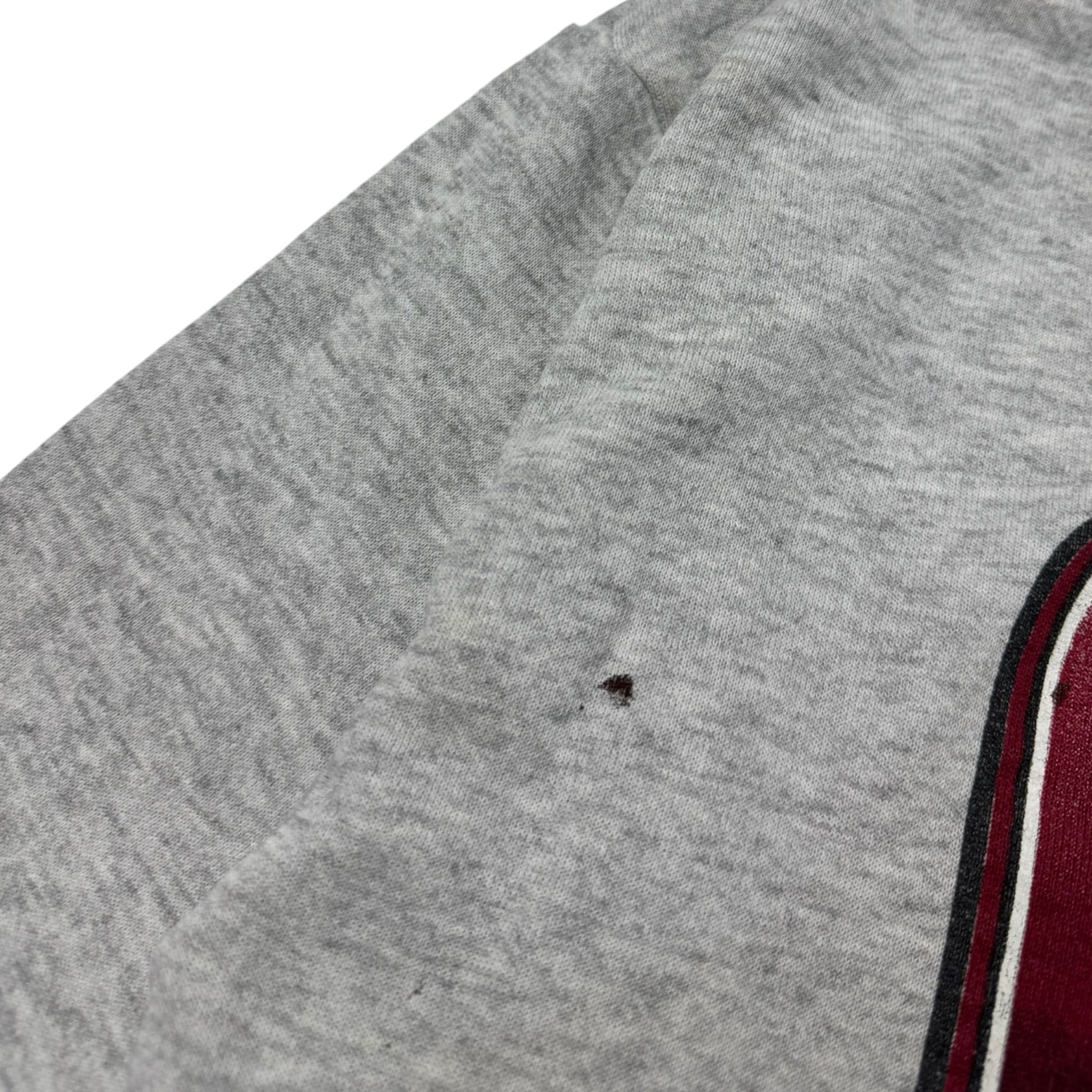 1996 Arizona Cardinals Taz Looney Tunes NFL Crewneck