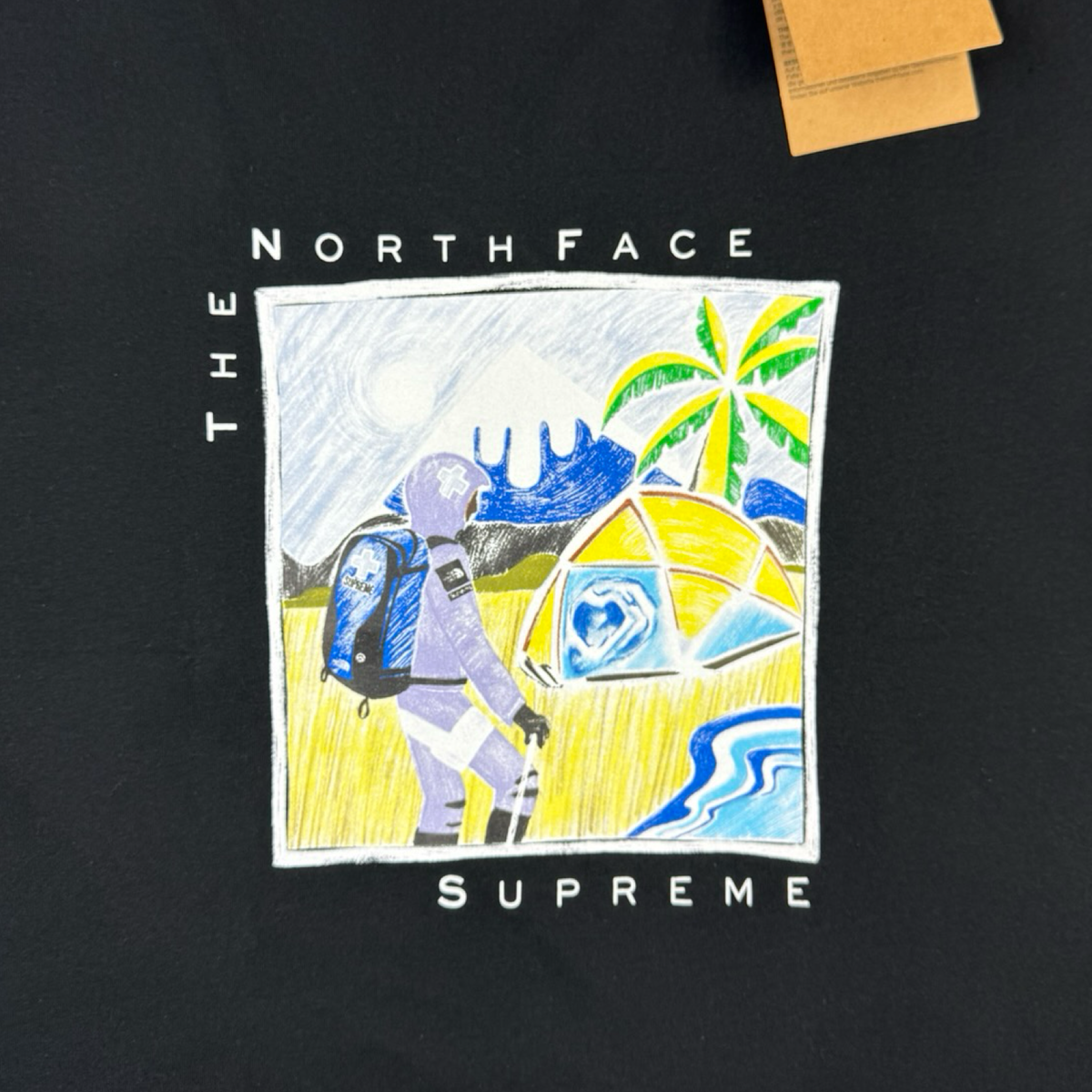 Supreme x The North Face Sketch Tee Black