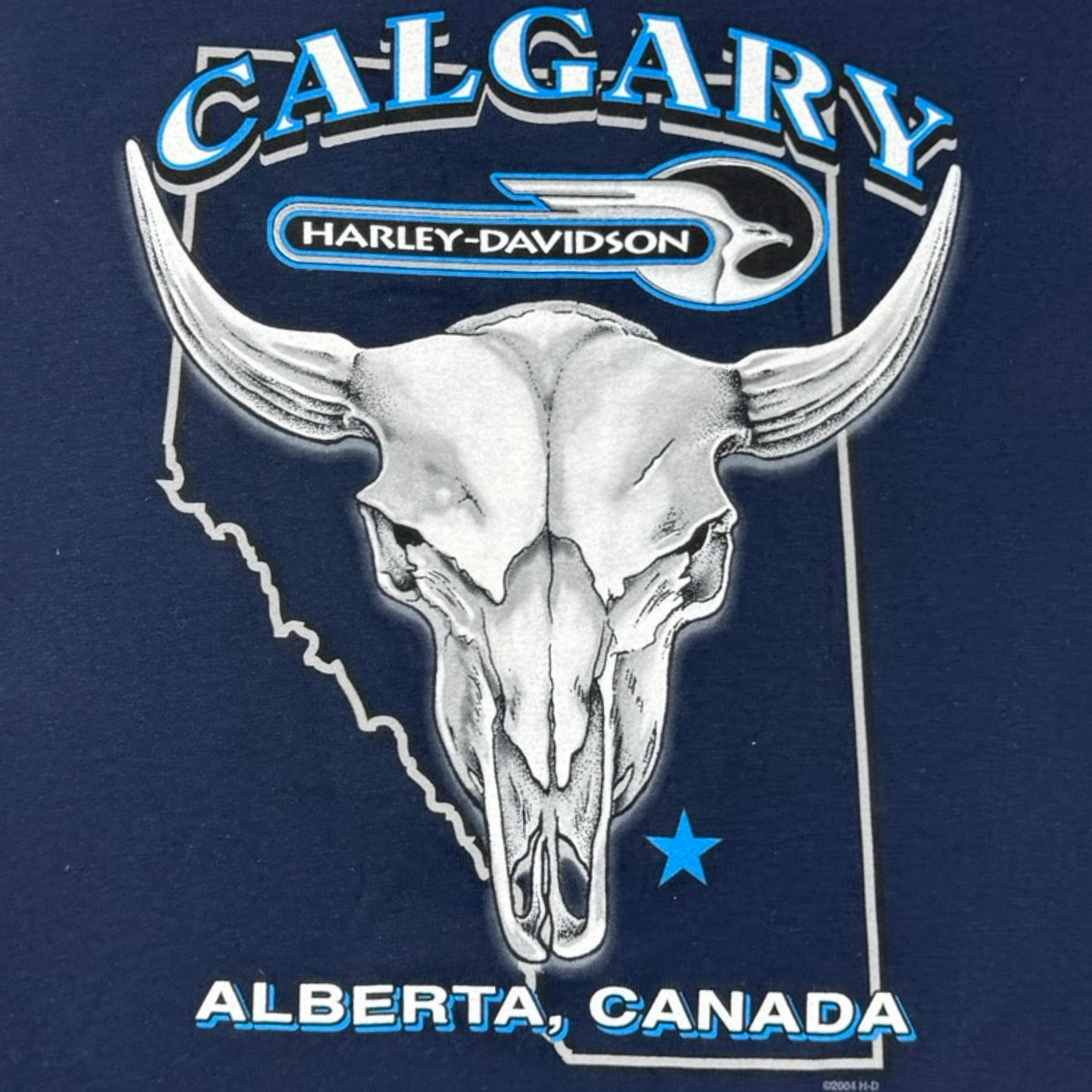 2007 Harley Davidson Calgary Alberta Flame Sleeve