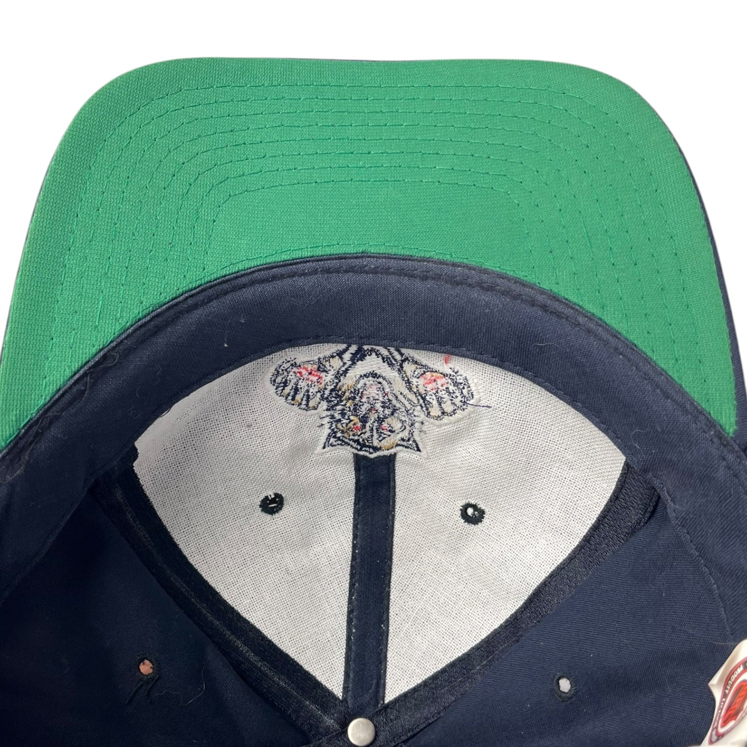Vintage Florida Panthers Starter Snap Back