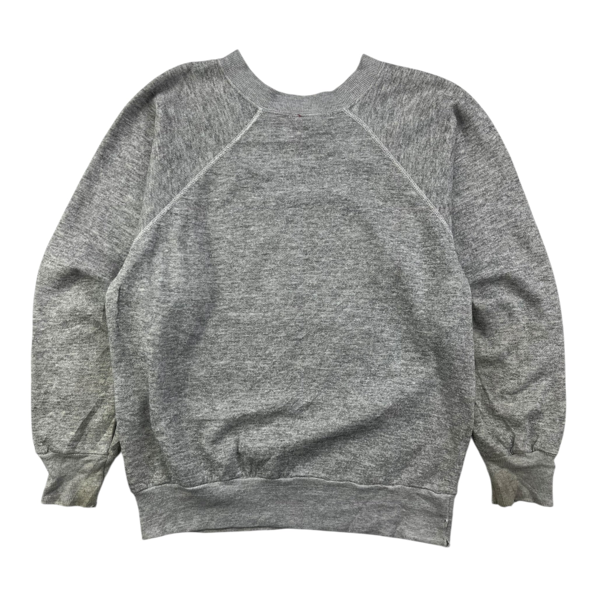 Vintage Carleton College Raglan Sleeve Champion Sweatshirt