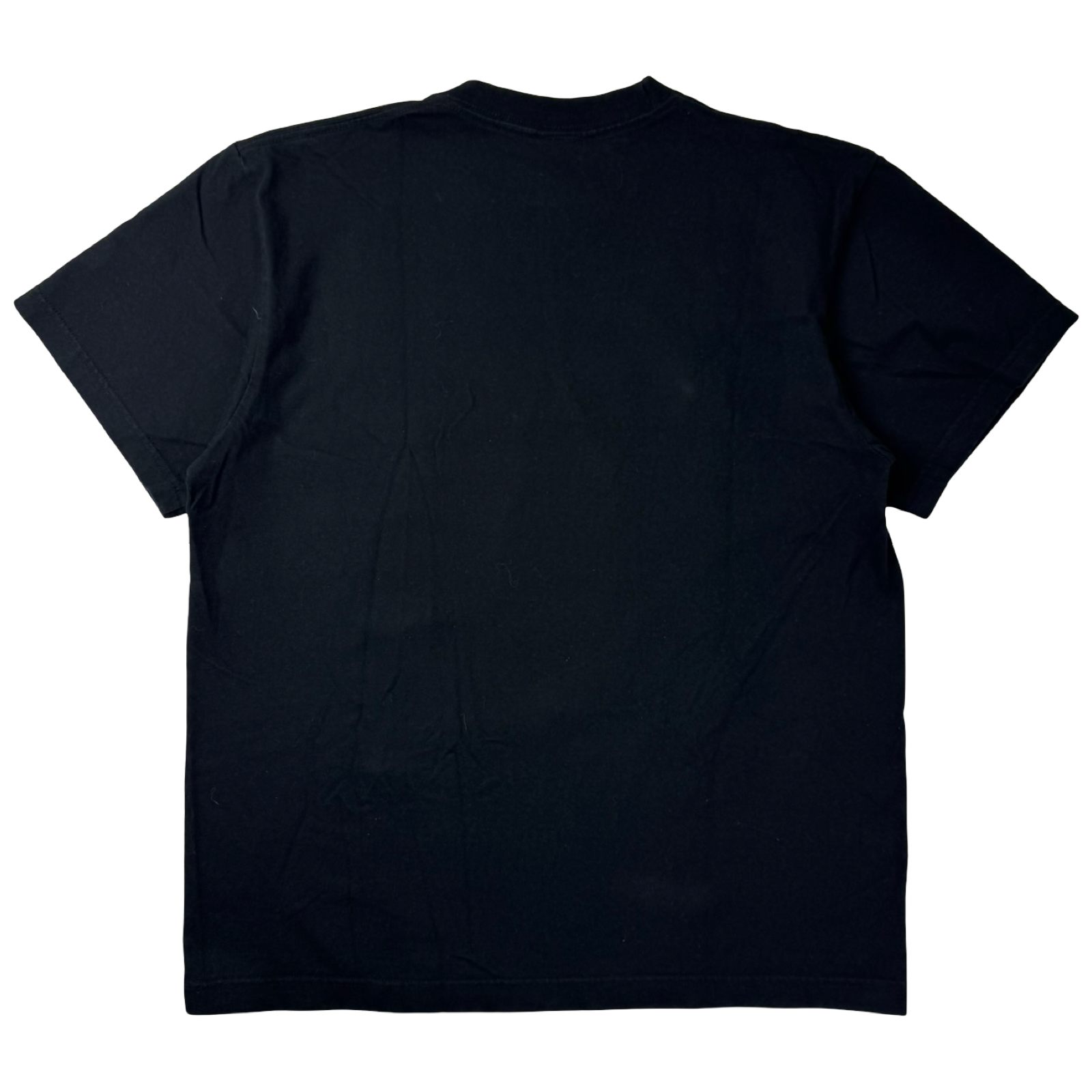 Vintage Fist of the North: Roar Anime T-Shirt