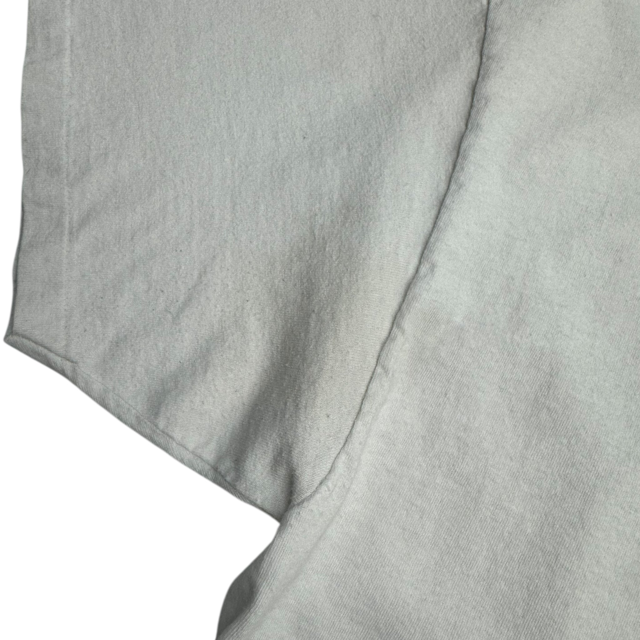 Vintage Brock University Protecting Student Wildlife T-Shirt