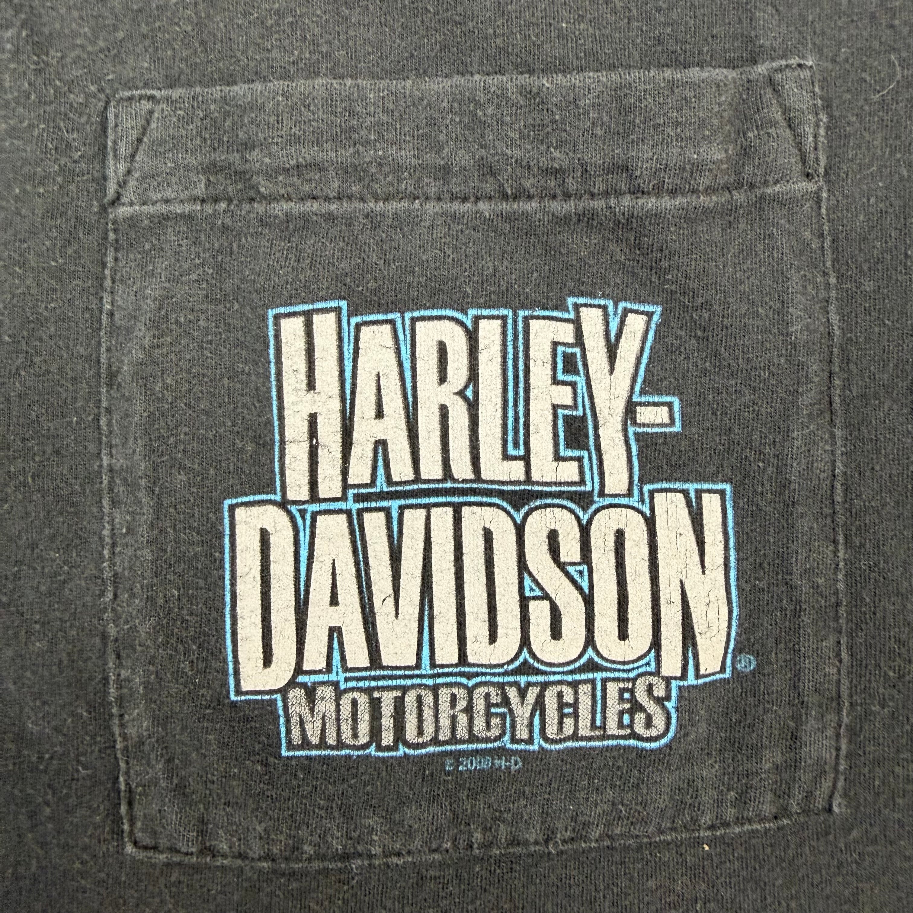 Vintage Harley Davidson Motorcycles Flame Sleeve Button Up Shirt Black