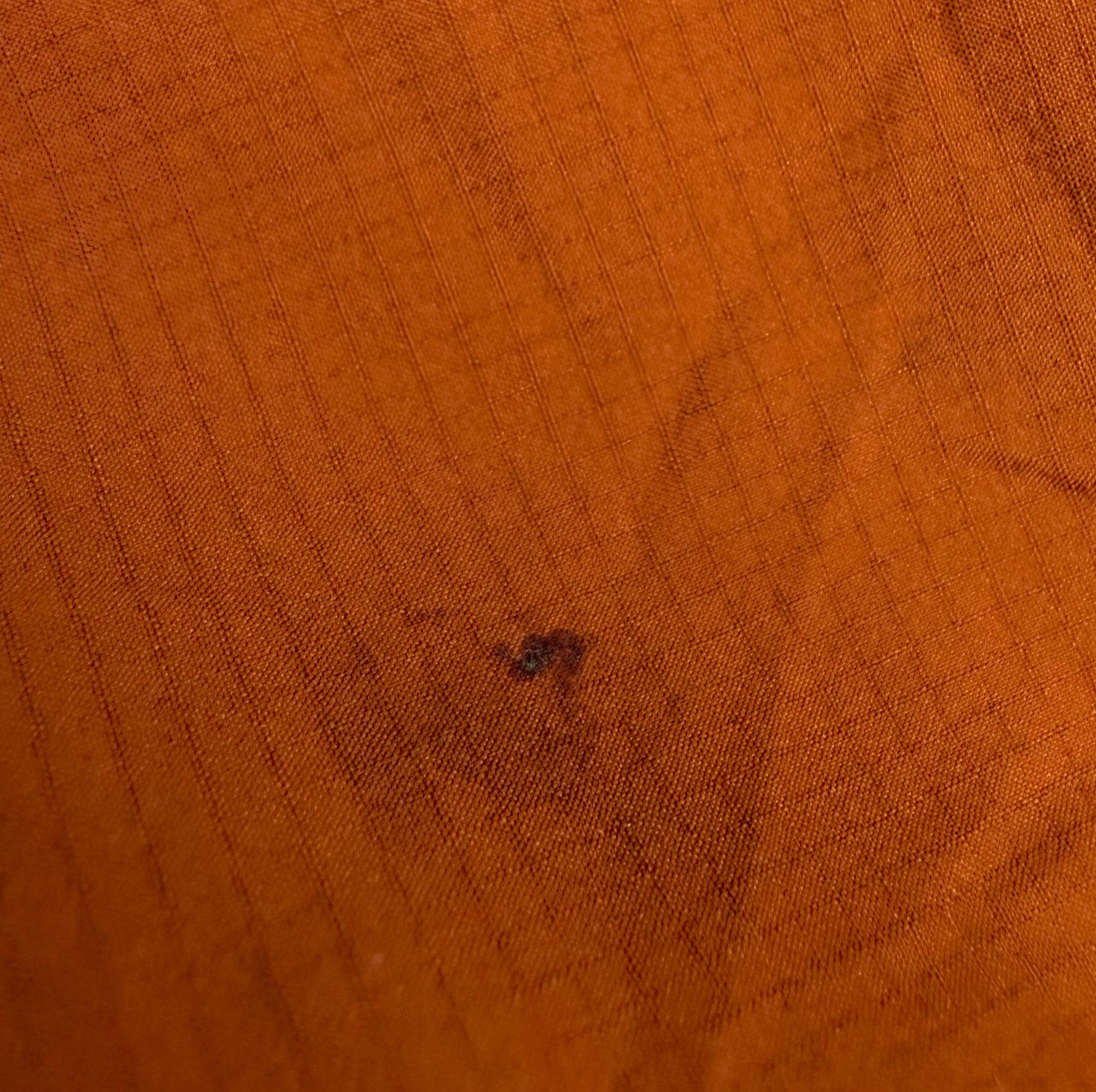 Arcteryx Atom LT Hoody Burnt Orange