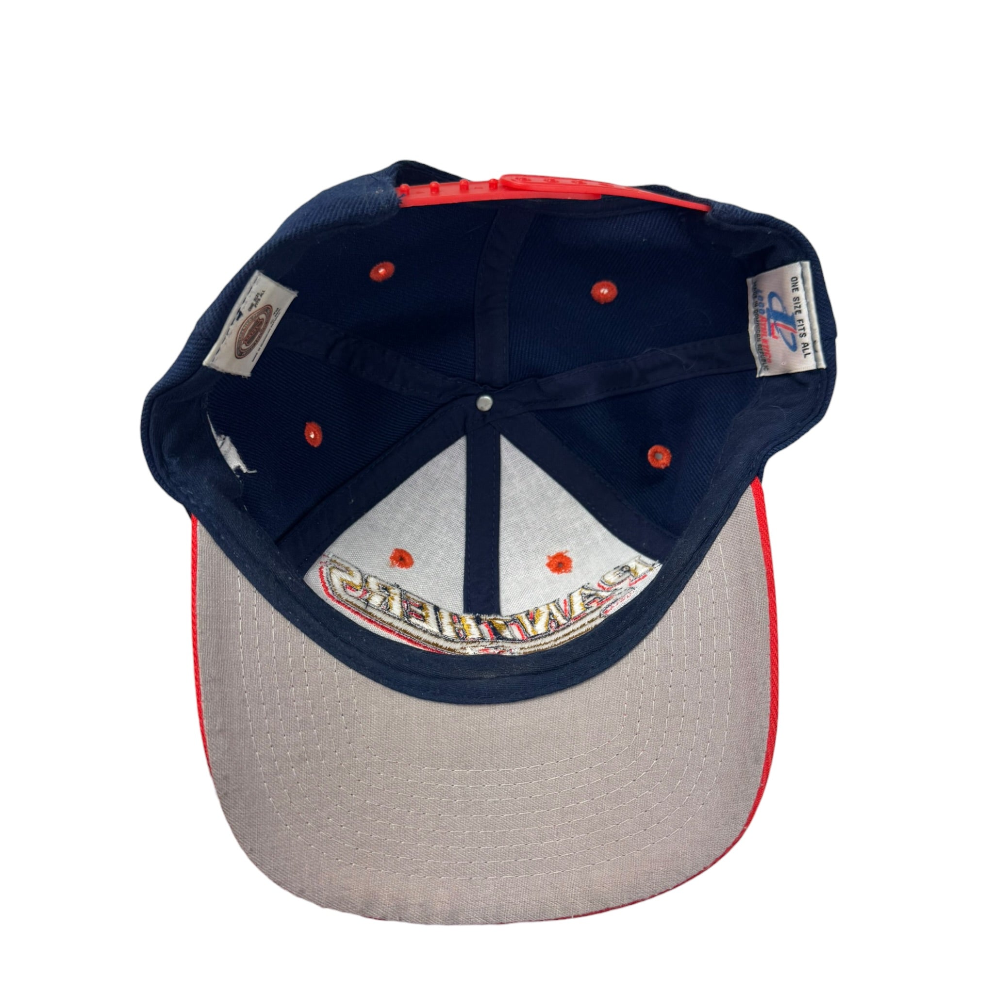 Vintage Florida Panthers Logo Athletic NHL Hat