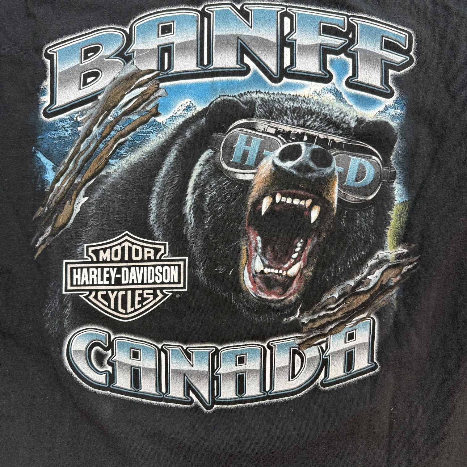 Vintage Harley Davidson Of Banff Tee Black