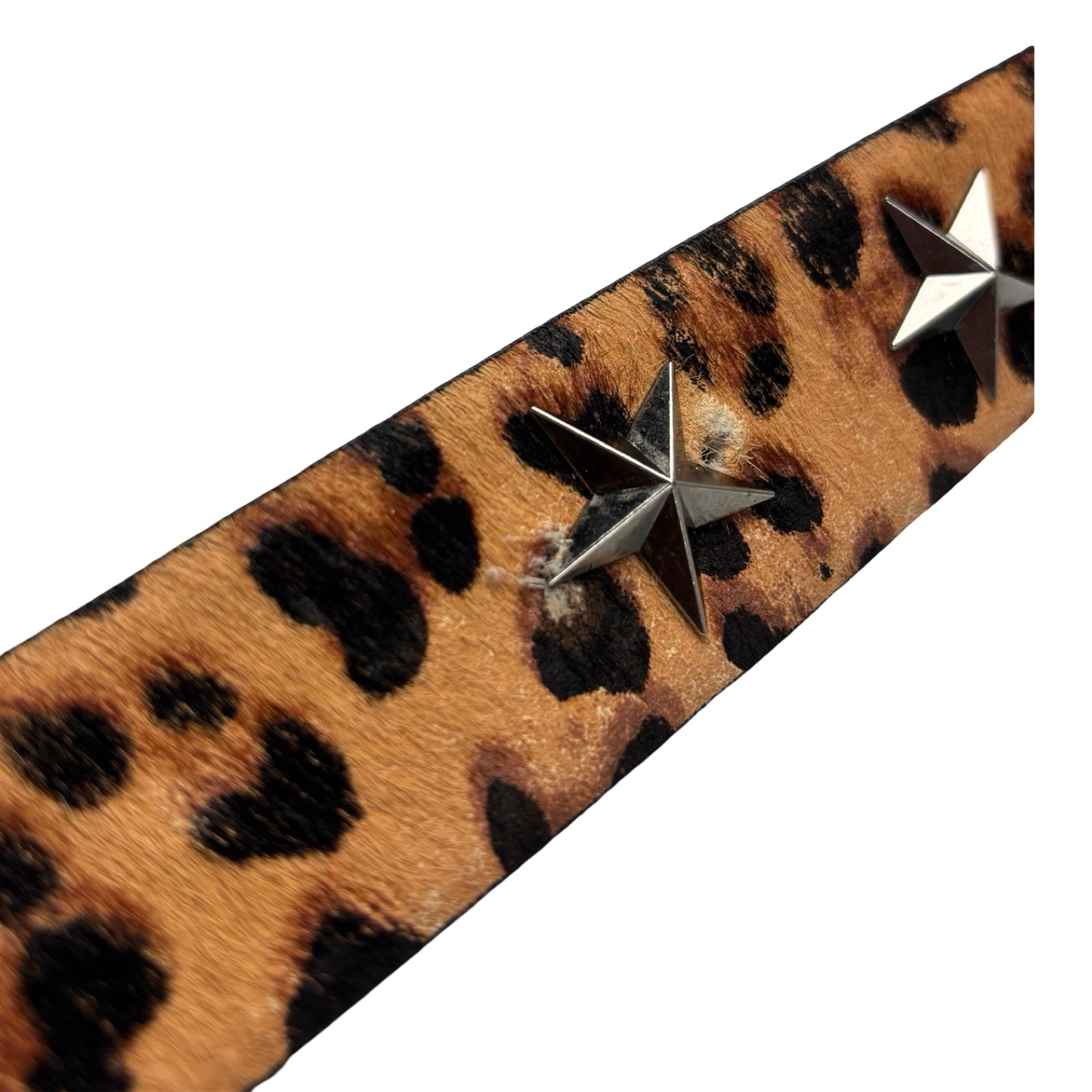 Pleasure Silverstone Skull Leopard Studded Belt