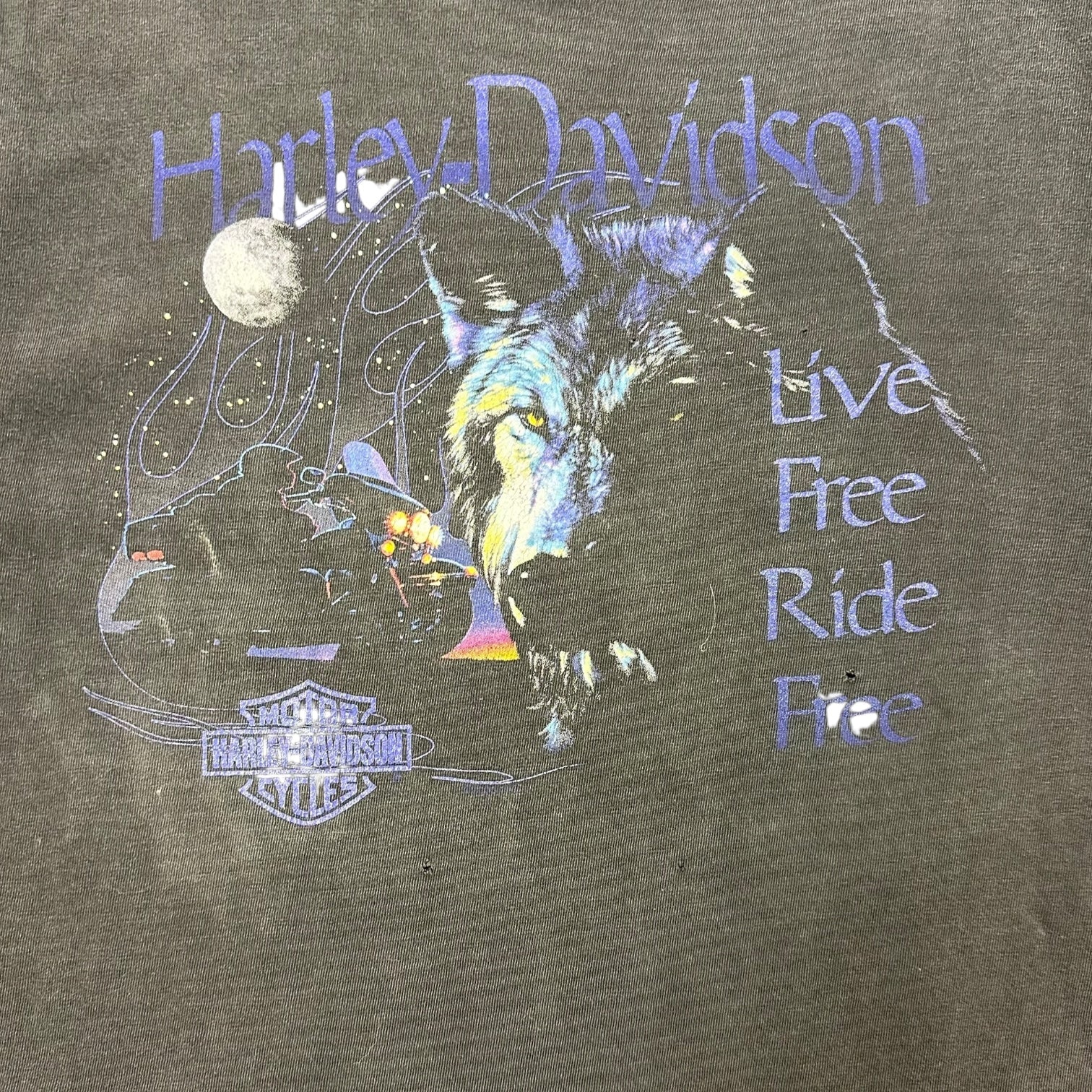 Vintage Harley Davidson Of Clearwater Florida ‘Live Free Ride Free’ Tee Black