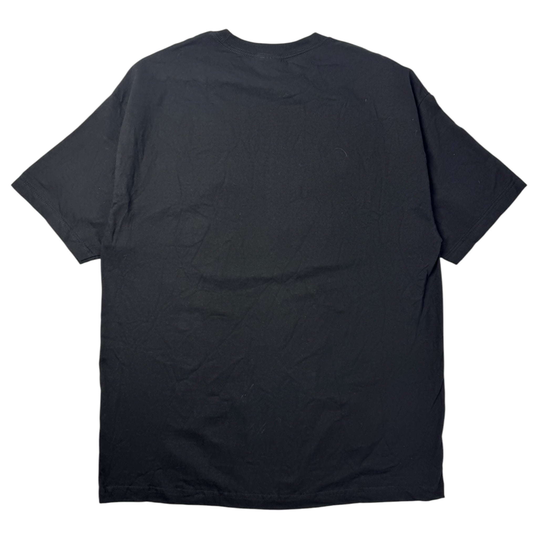 Vintage Taking Back Sunday Pop Punk/Emo Band T-Shirt