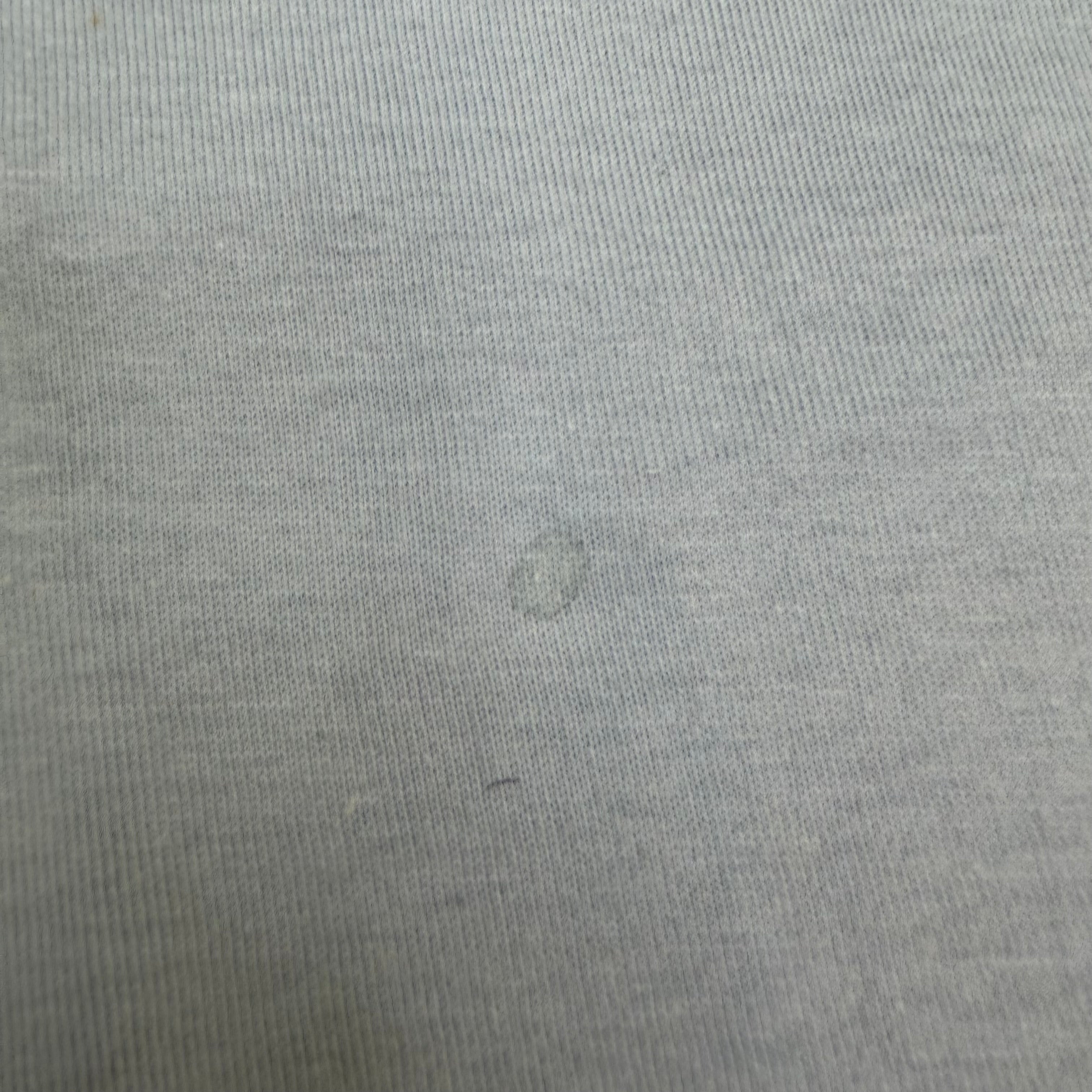Stussy Vancouver Chapter Longsleeve Tee Blue