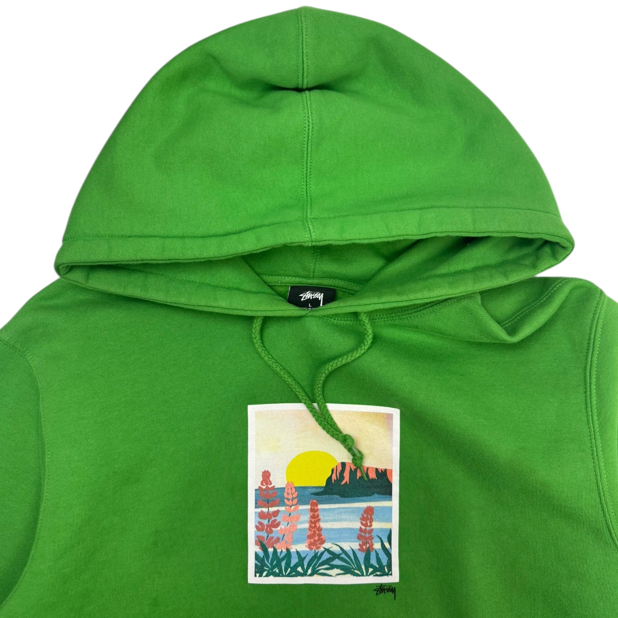 Stussy Coastal Hoodie Green