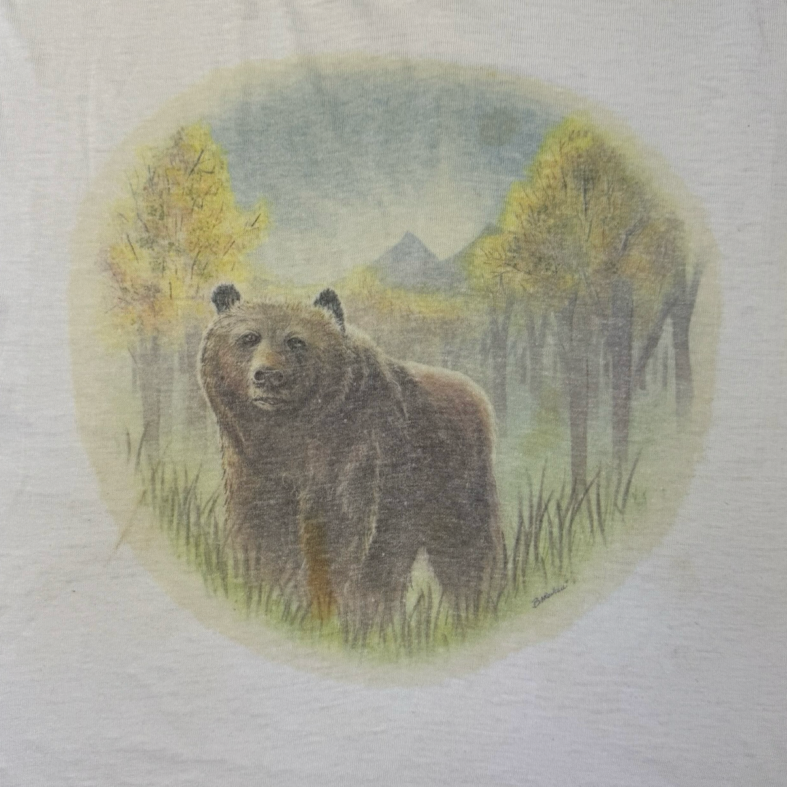 Vintage Grizzly Bear Nature Ringer T-Shirt