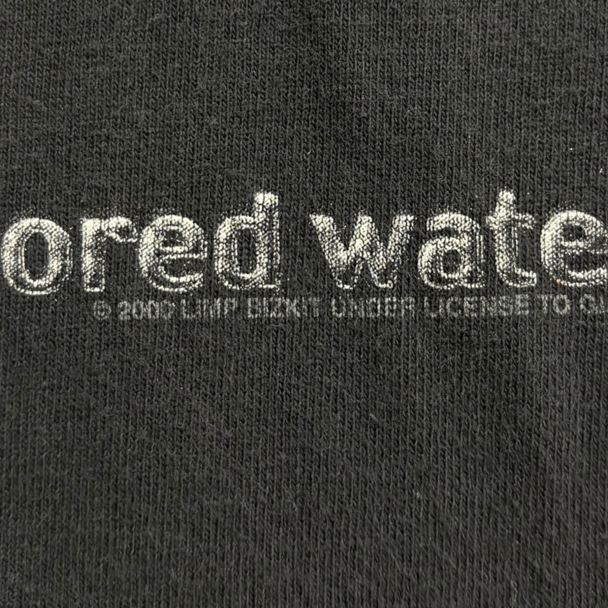 2000 Limp Bizkit Chocolate Starfish and the Hot Dog Flavored Water T-Shirt