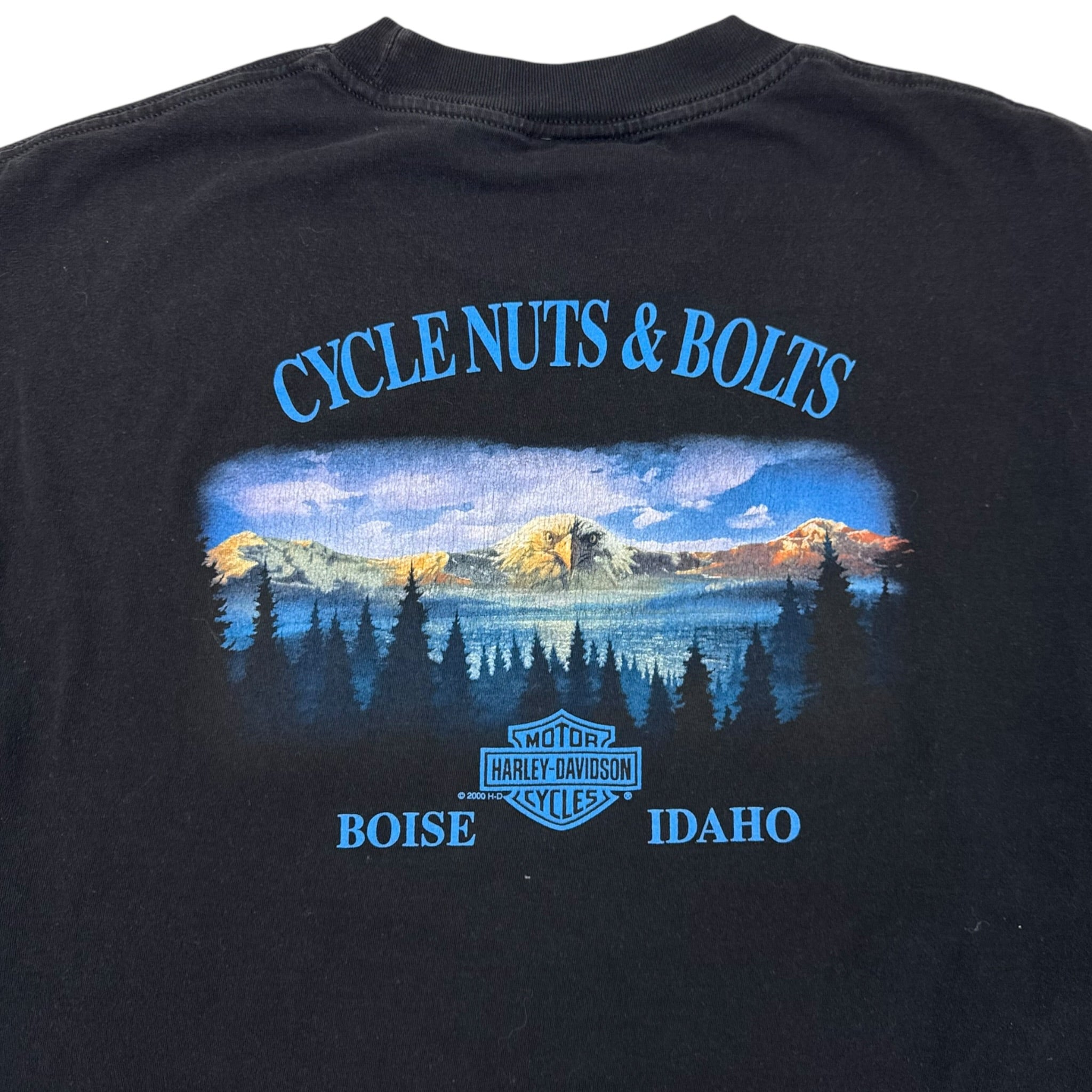 1999 Harley Davidson Big Lightning Boise T-Shirt