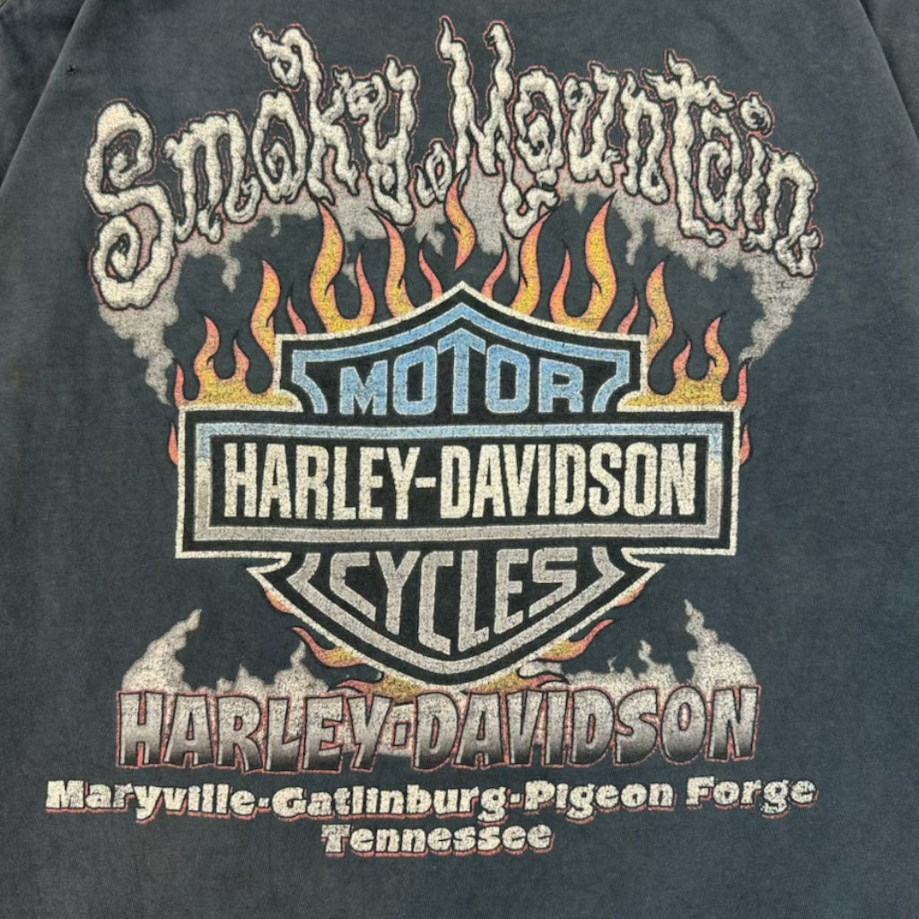 Vintage Smoky Mountain Harley Davidson Pocket T-Shirt Black