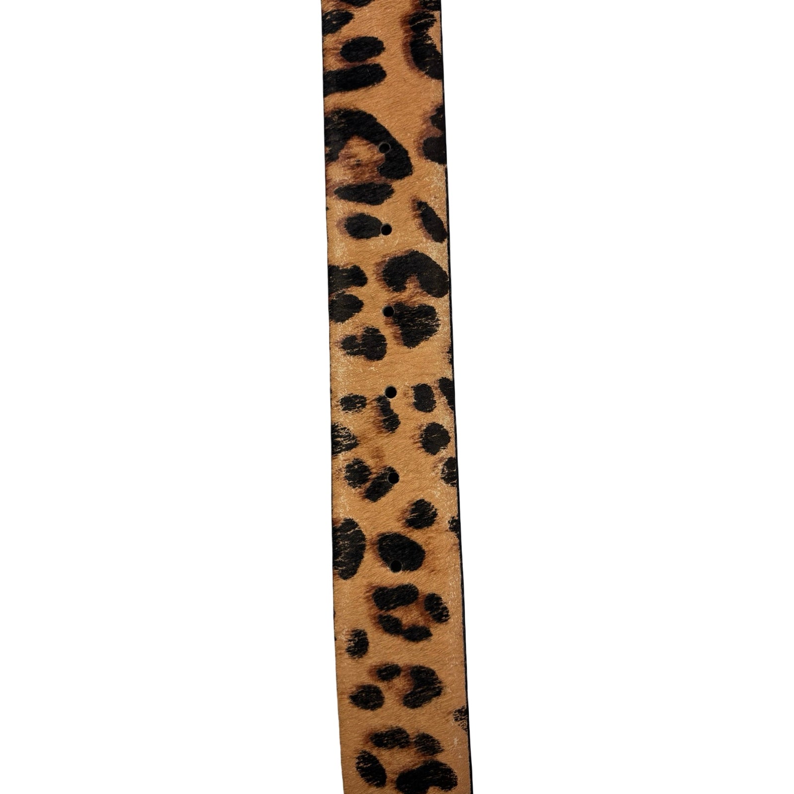 Pleasure Silverstone Skull Leopard Studded Belt