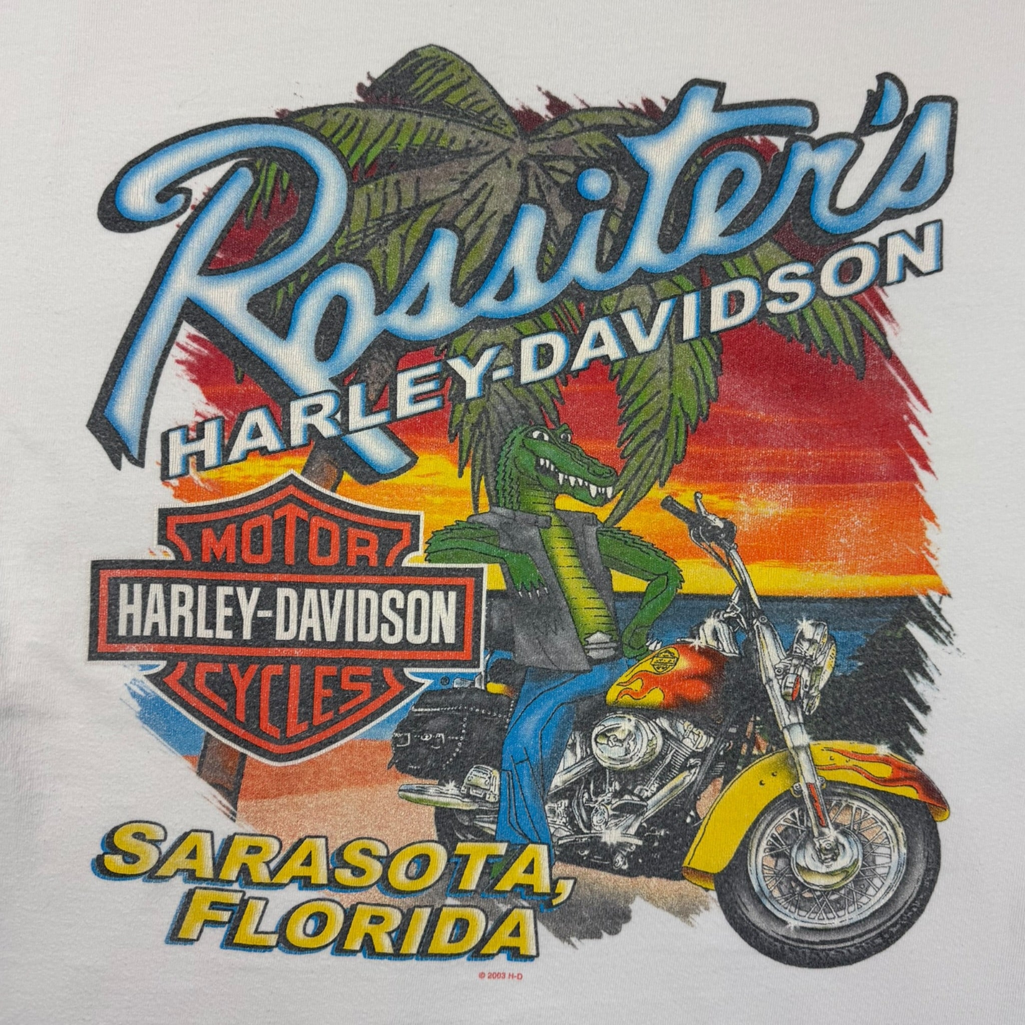 2003 Harley Davidson Skull Stack Longsleeve Cyber T-Shirt