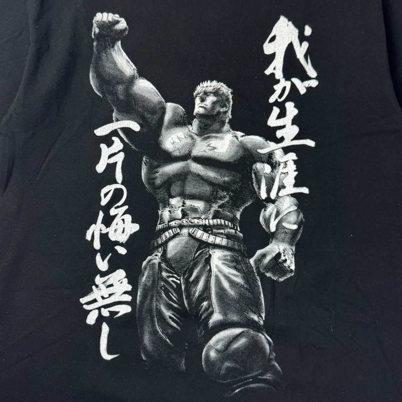 Vintage Fist of the North: Roar Anime T-Shirt