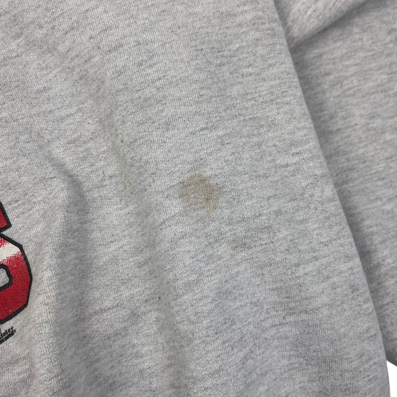 2002 Ohio State Buckeyes Big Ten Champions Crewneck Sweatshirt Grey