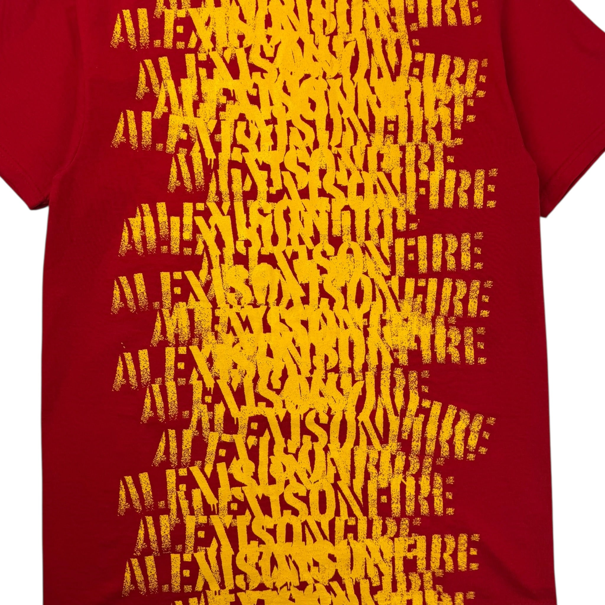 Vintage Alexisonfire Post-Hardcore Band T-Shirt