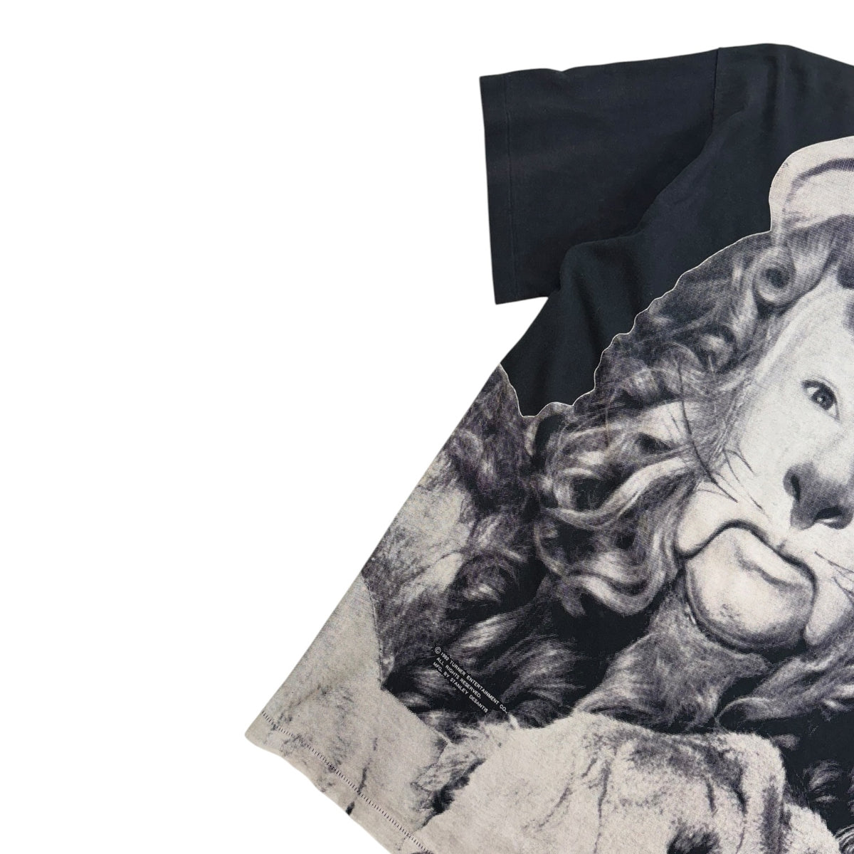 Vintage 1992 Wizard Of Oz “Cowardly Lion” Stanley Desantis AOP T-Shirt