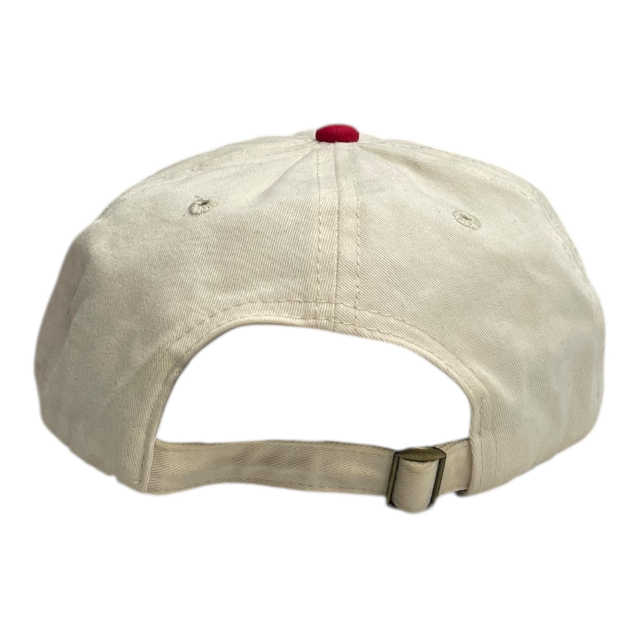 Butter Goods Jumble 6 Panel Hat