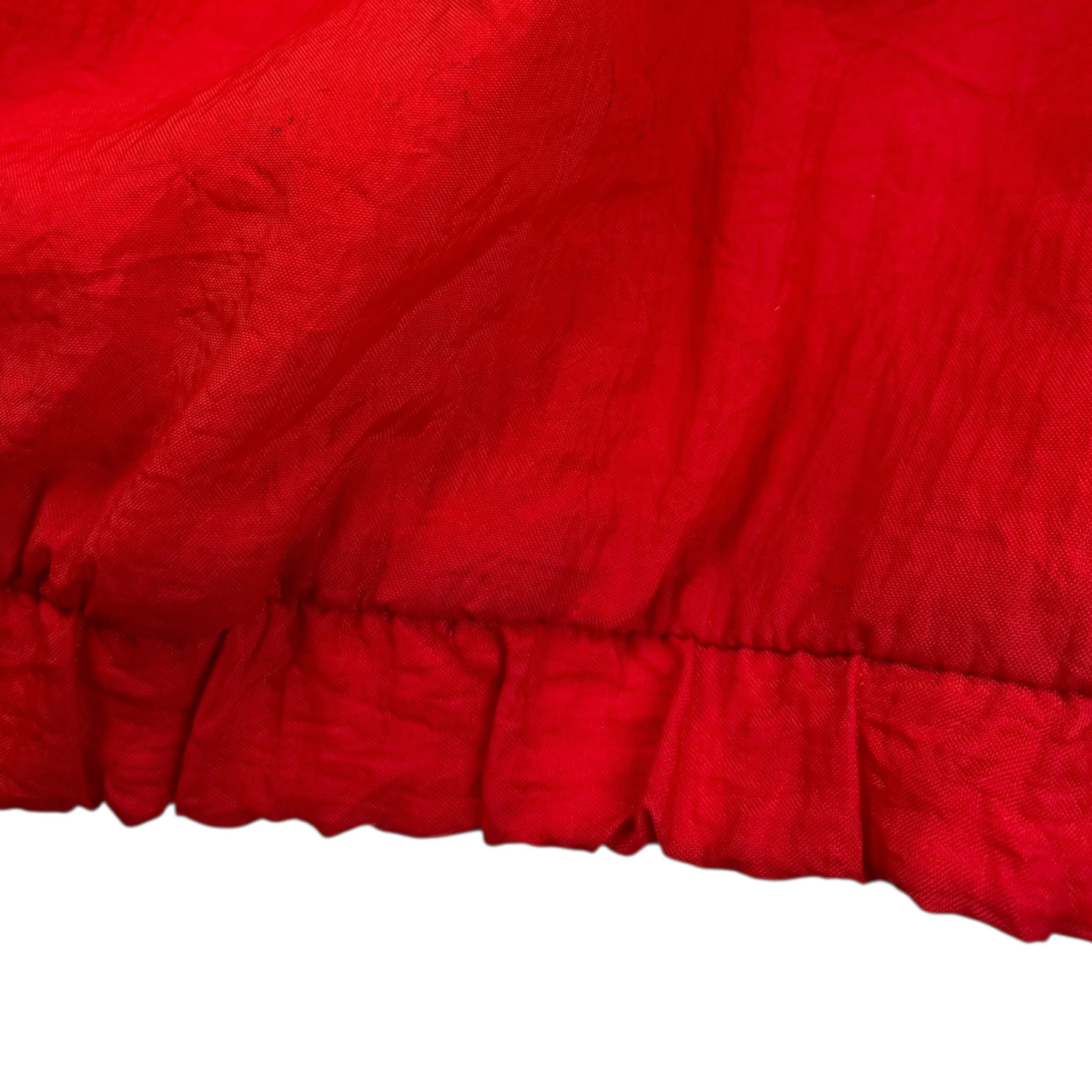 Vintage Taz Looney Tunes NHL Canadiens Jacket