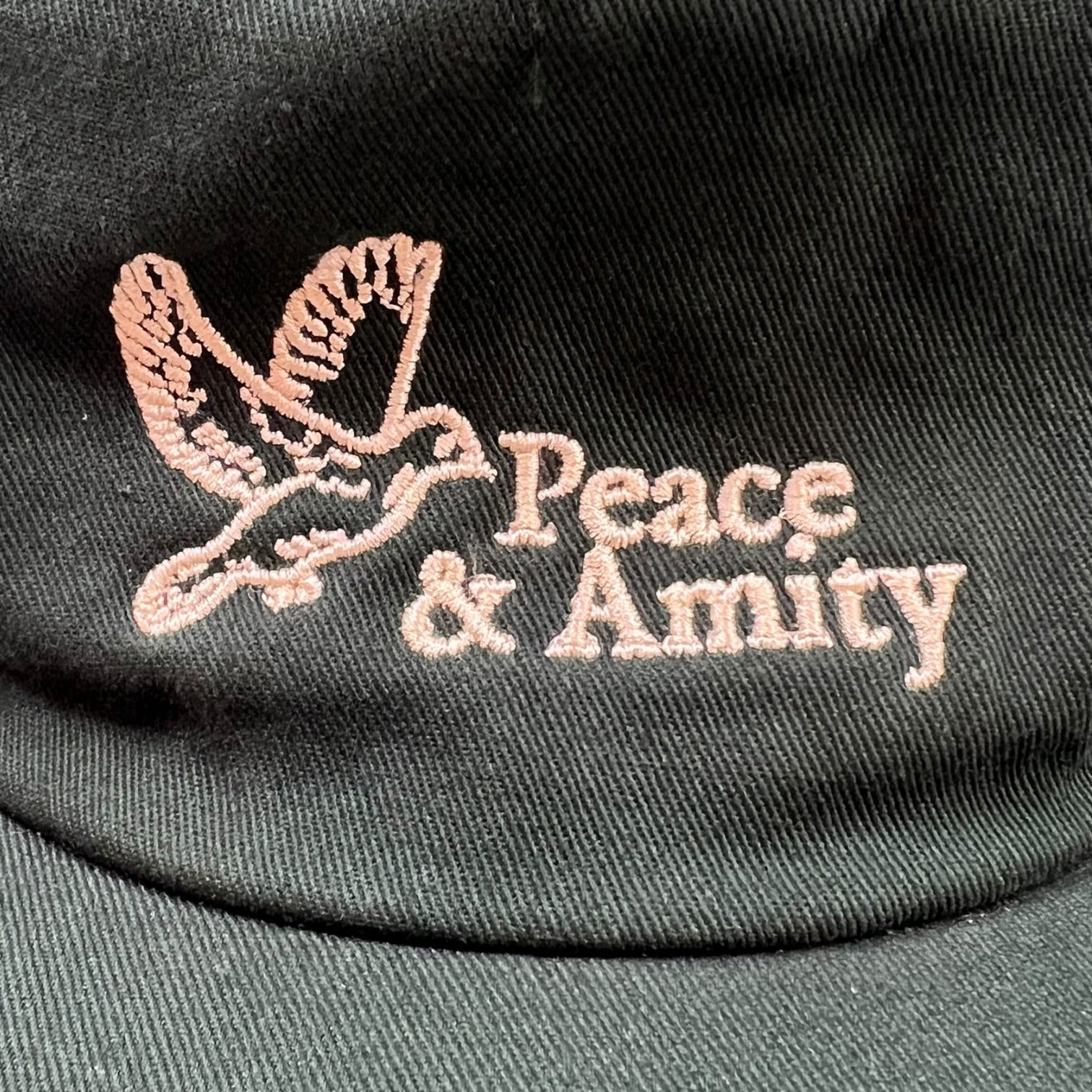 Museum of Peace & Quiet Woodmark 5 Panel Hat Green