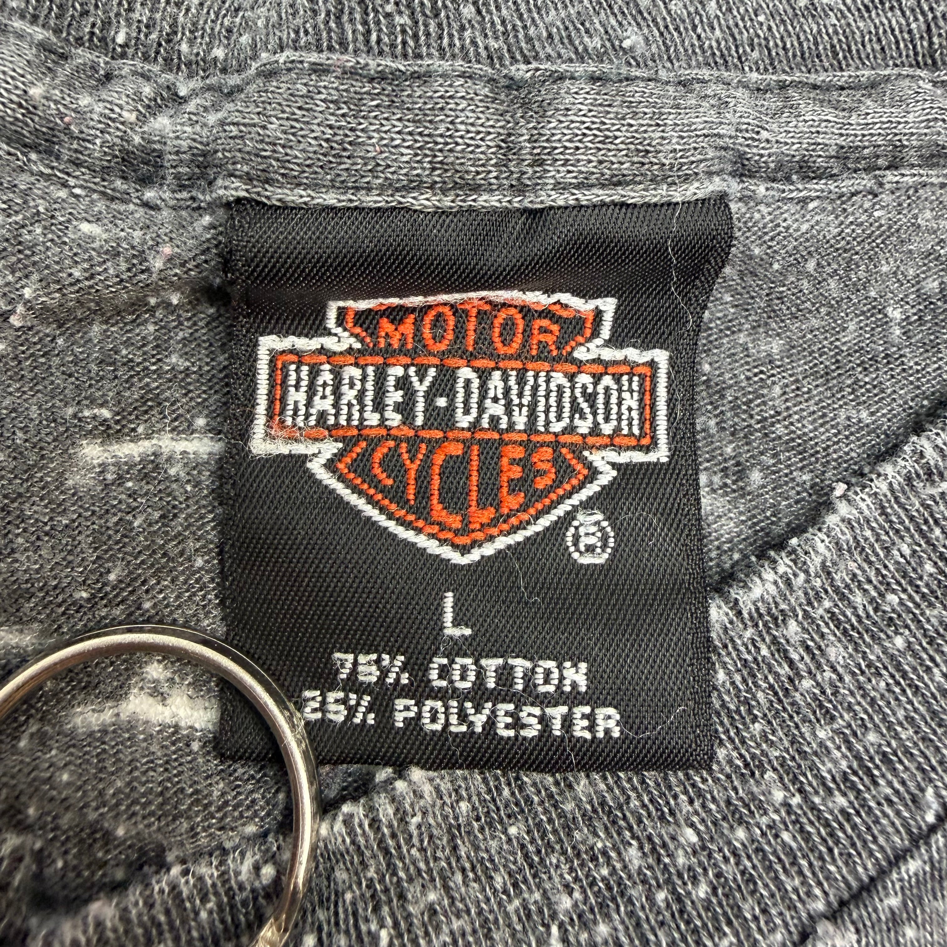Vintage Harley Davidson Boston Tee Faded Grey