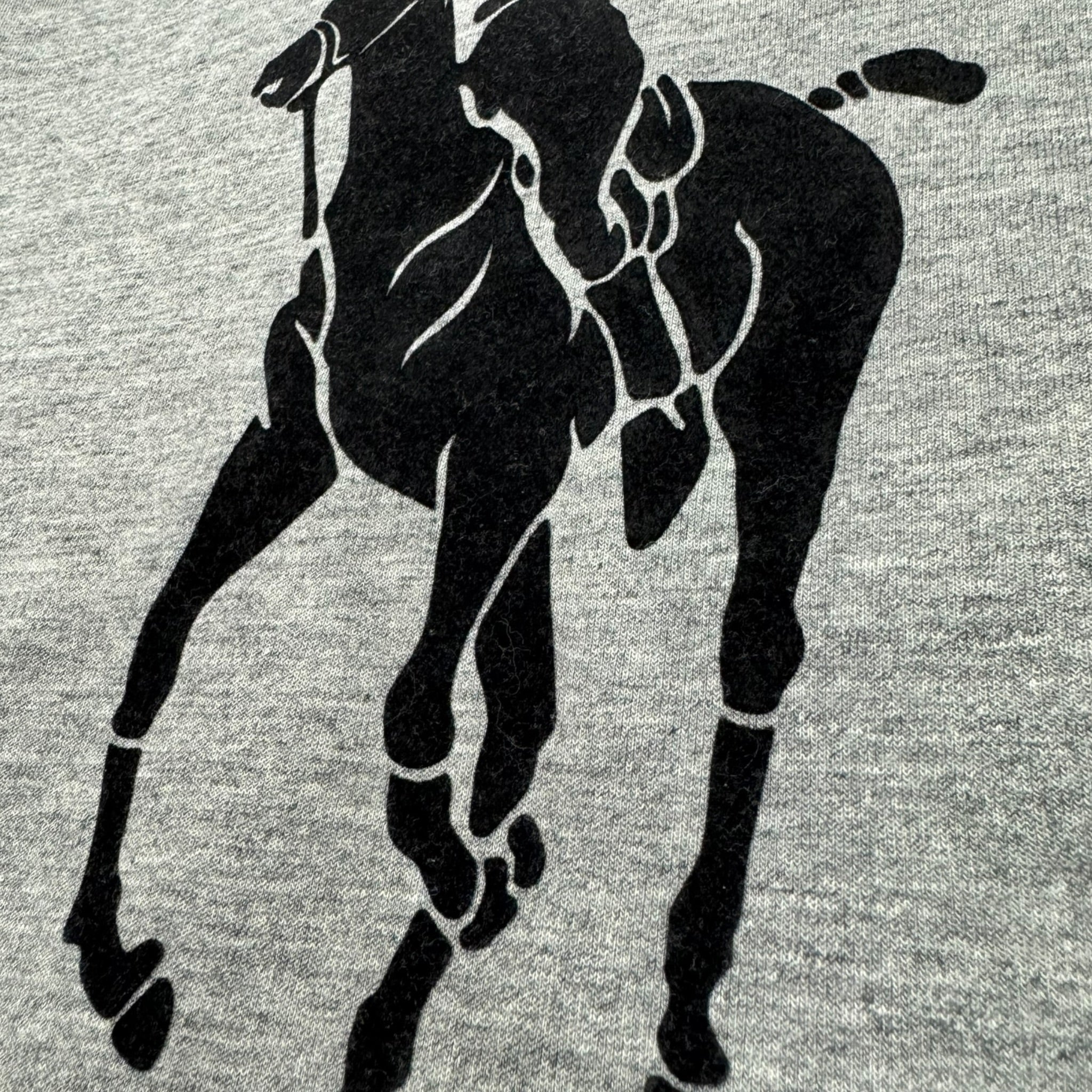 Polo Ralph Lauren Big Pony Fleece Hoodie