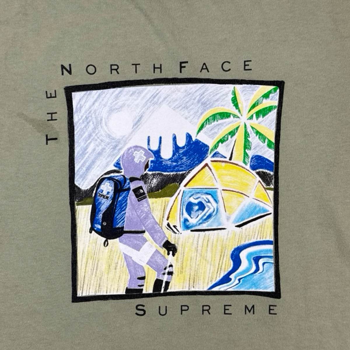 Supreme The North Face Sketch S/S Top Sage