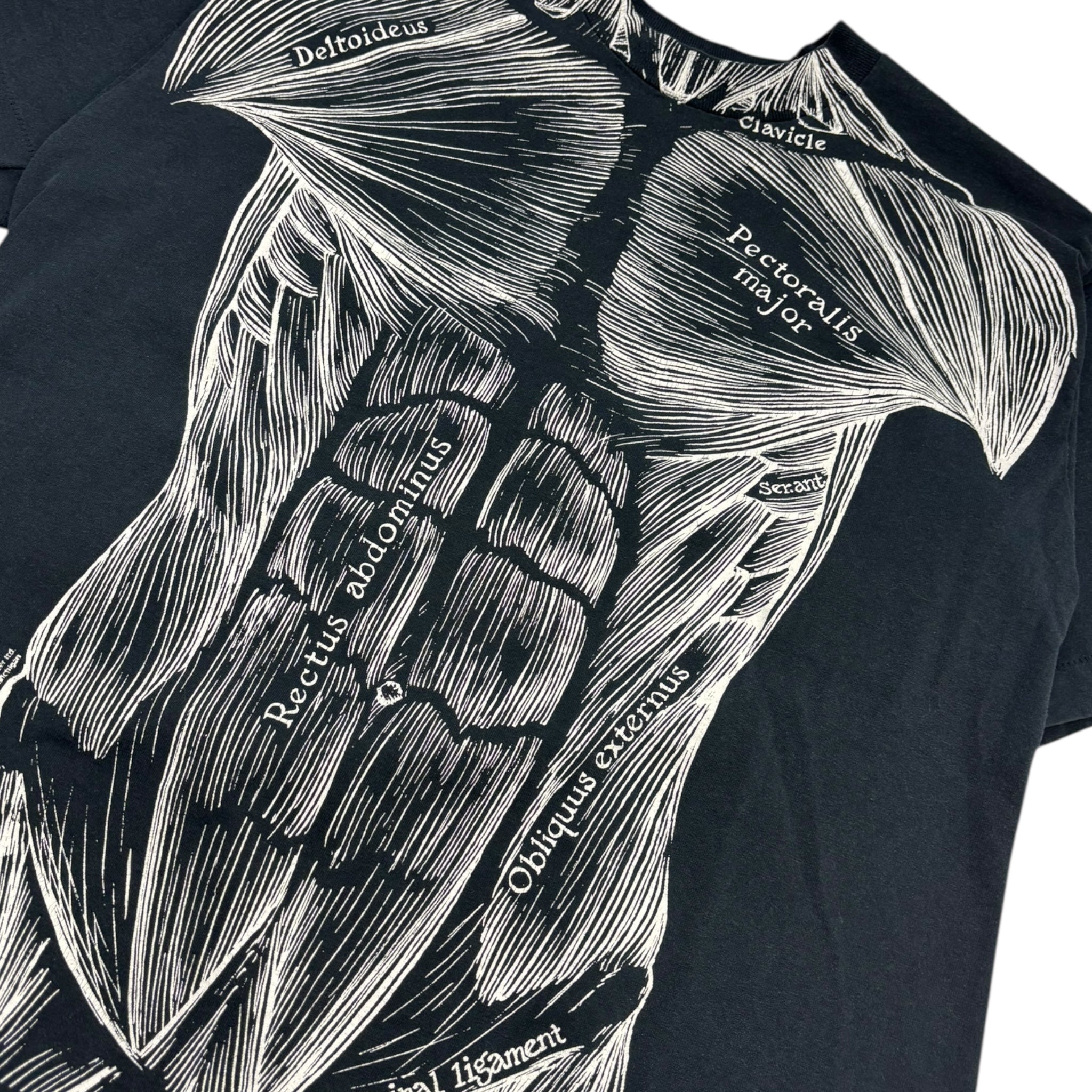 Vintage 80's Leslie Arwin Anatomy T-Shirt