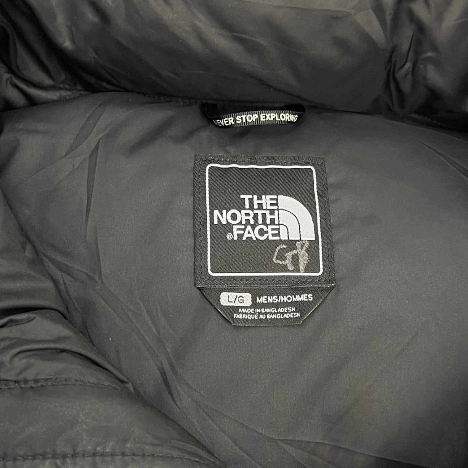 The North Face Patterned 700 Puffer Jacket