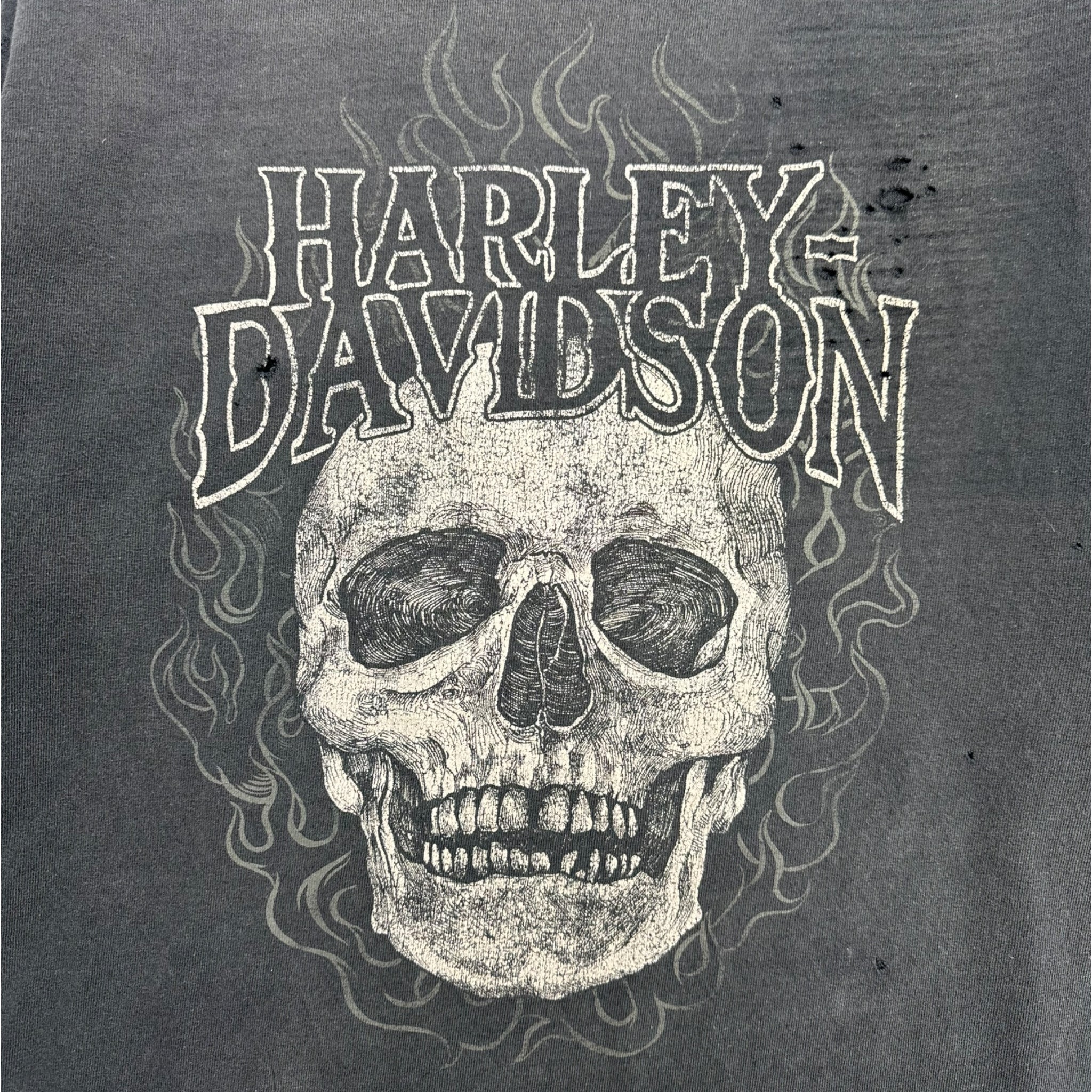 Vintage Harley Davidson Magic City Minot, ND Longsleeve