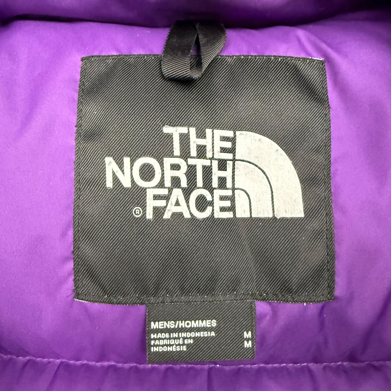 The North Face TAE Trans-Antartica Expedition 700 Parka Teal