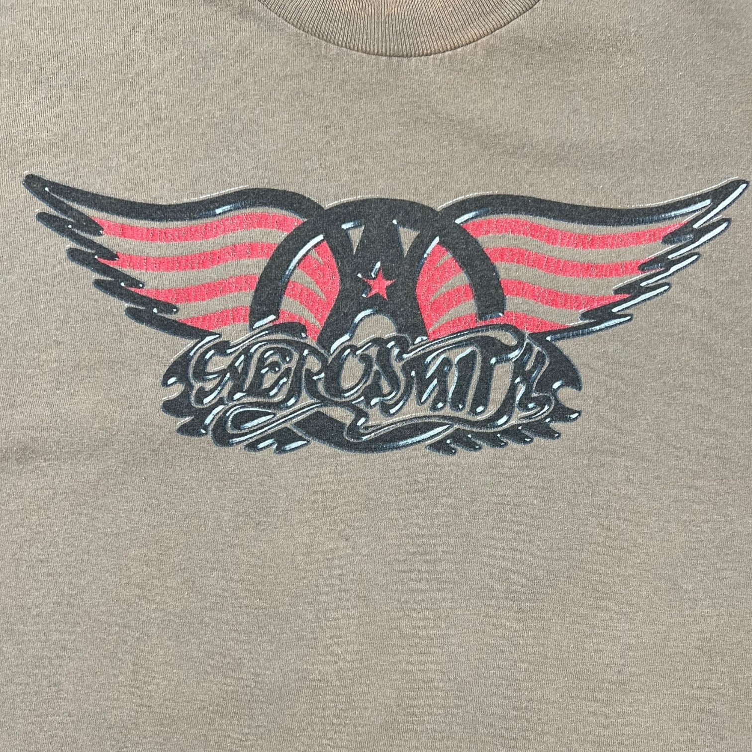 Vintage 1999 Aerosmith “Nothing Can Stop This Rock” World Tour T-Shirt Olive