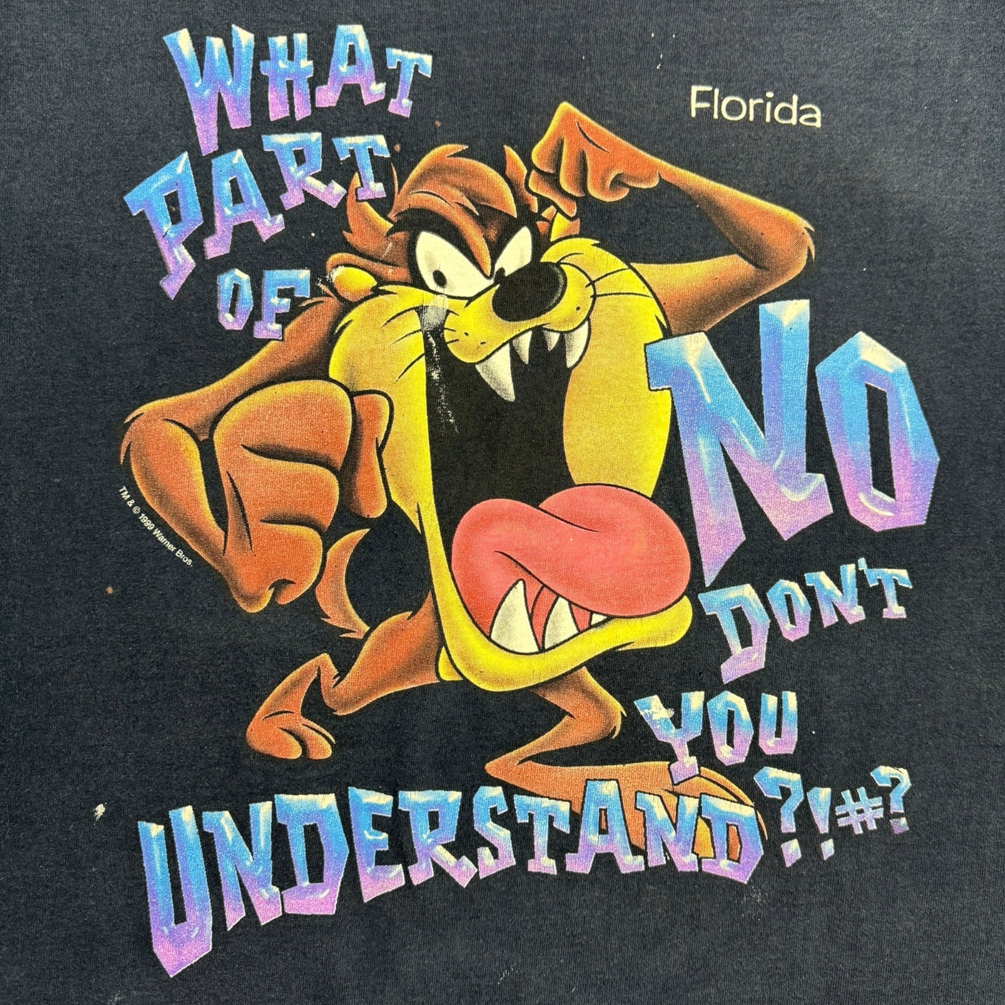 Vintage Taz Florida Quote T-Shirt