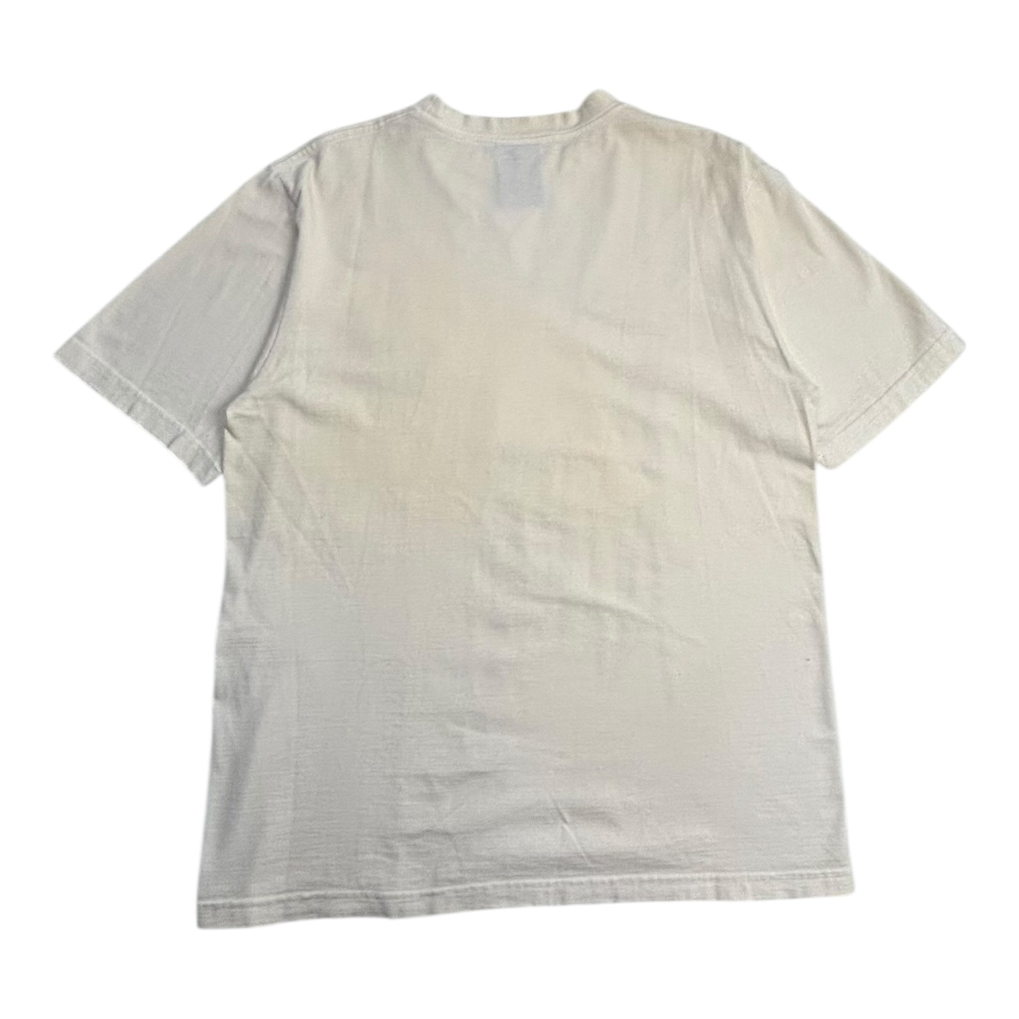 Vintage Y2K Avirex Tiger T-Shirt