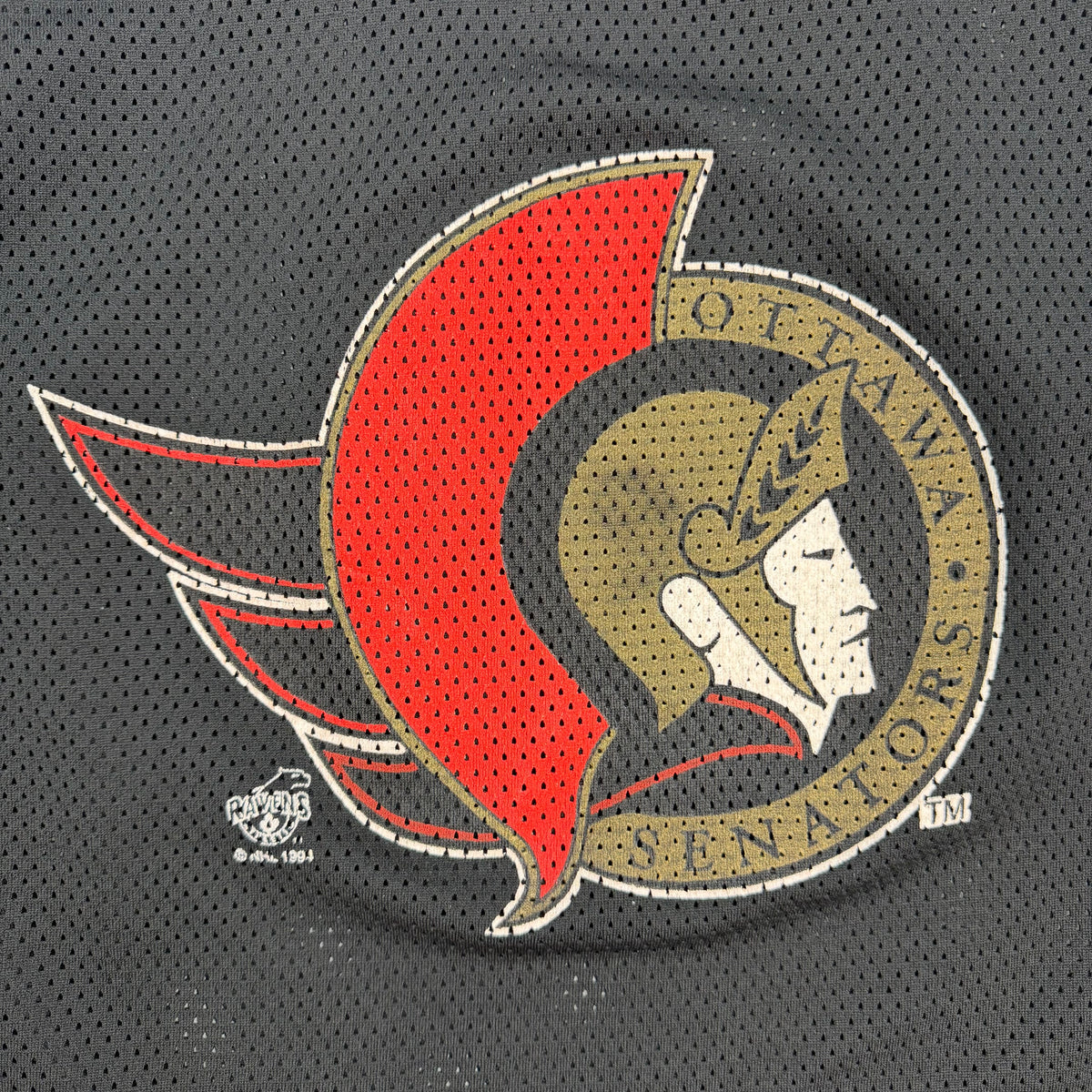 Vintage Ottawa Senators Jersey Black/White