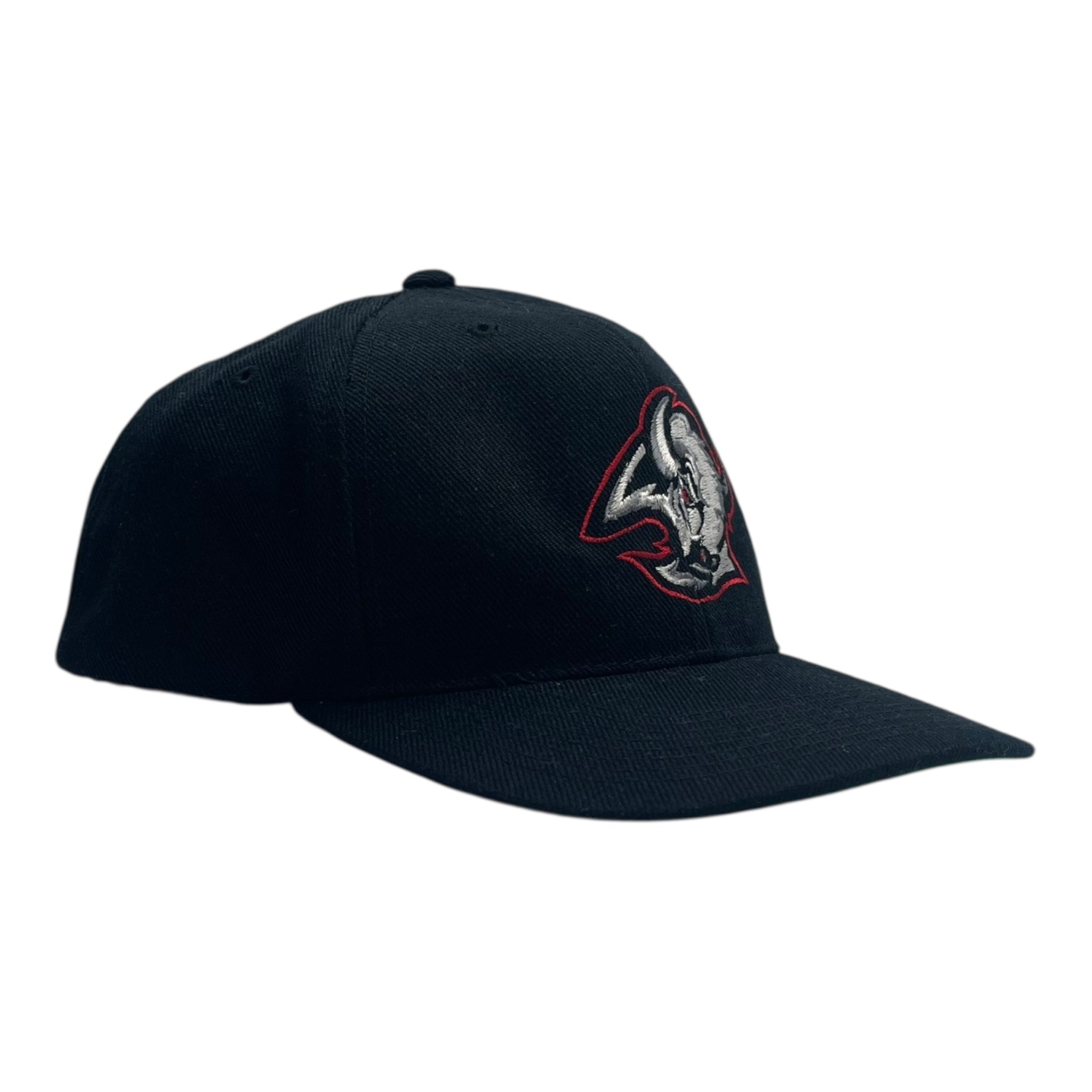 Vintage Buffalo Sabres Sports Specialties Hat