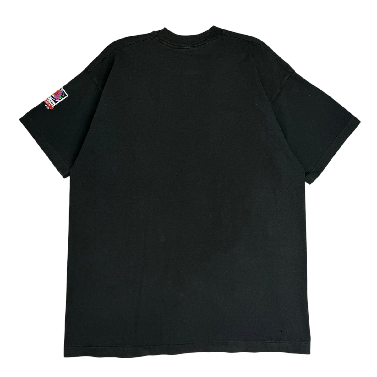 Vintage 90s Hank Williams Jr. Charlie Daniels Travis Tritt Jo Dee Messina Country Tee Faded Black